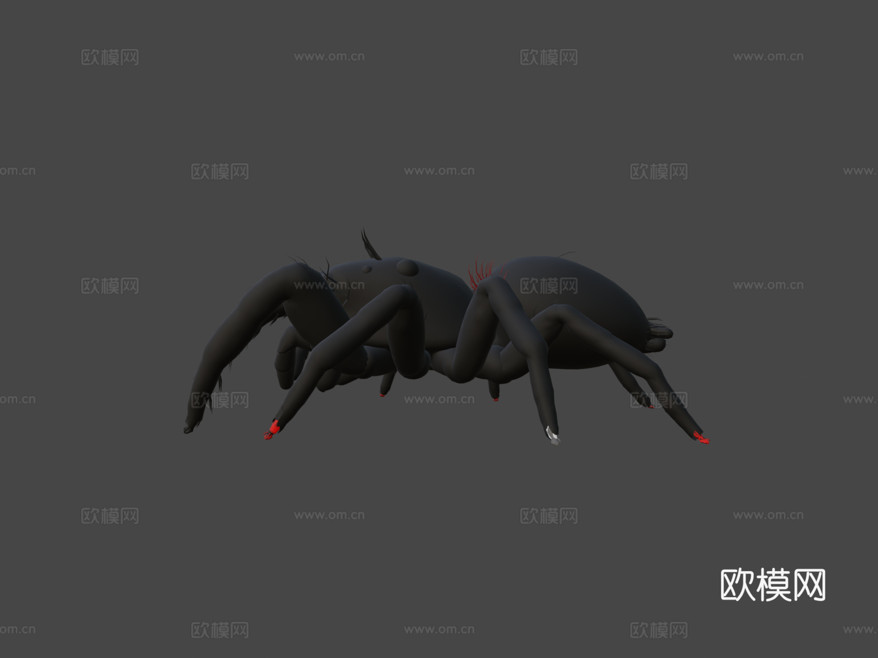 跳蛛3d模型