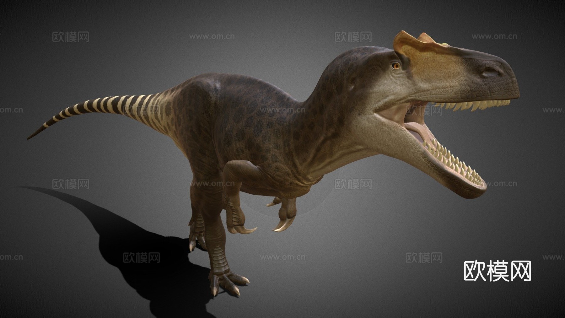 脆弱异特龙3d模型