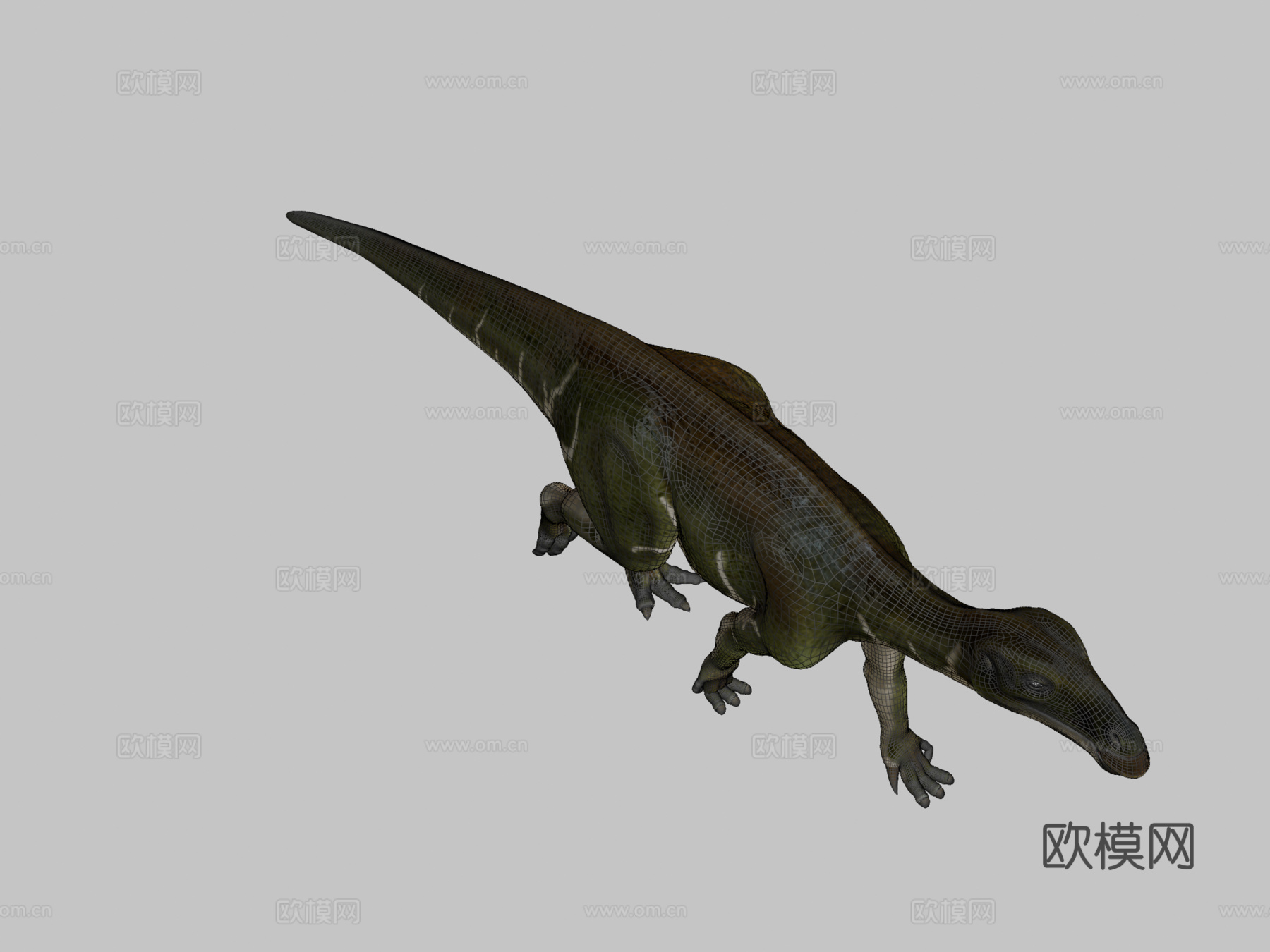 贝尔尼萨特禽龙3d模型