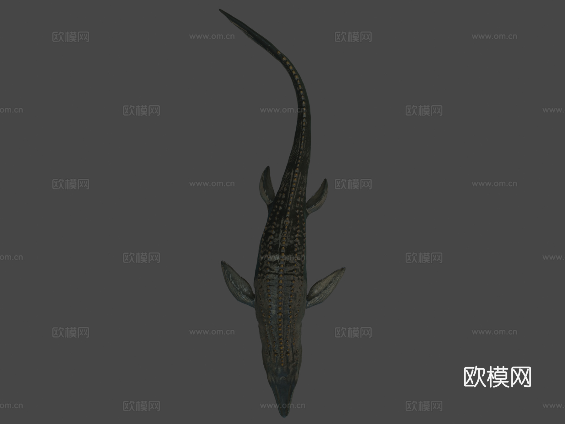 沧龙3d模型
