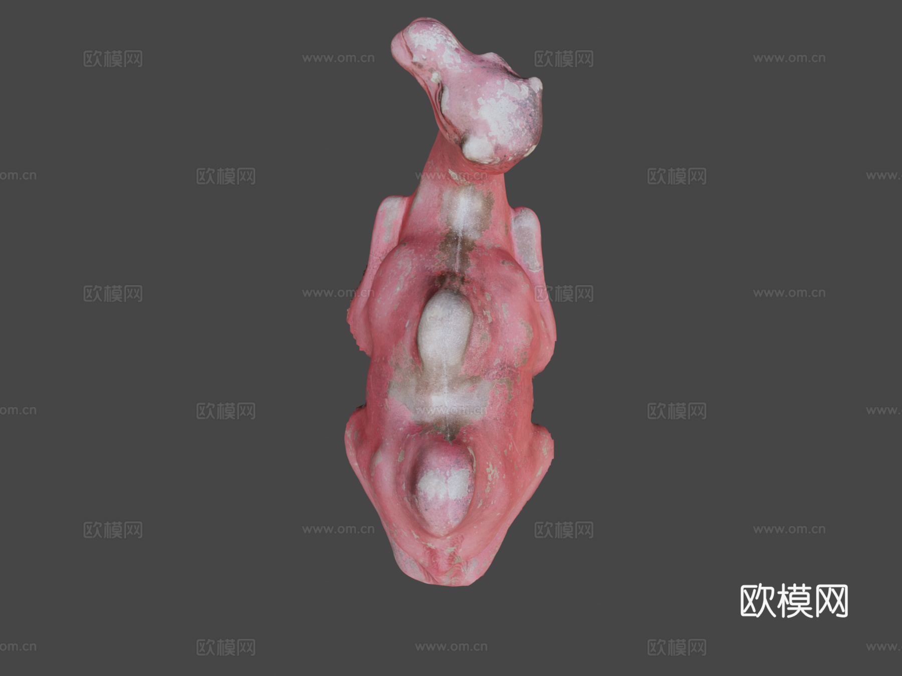 第16天-埃德蒙游乐场骆驼3d模型