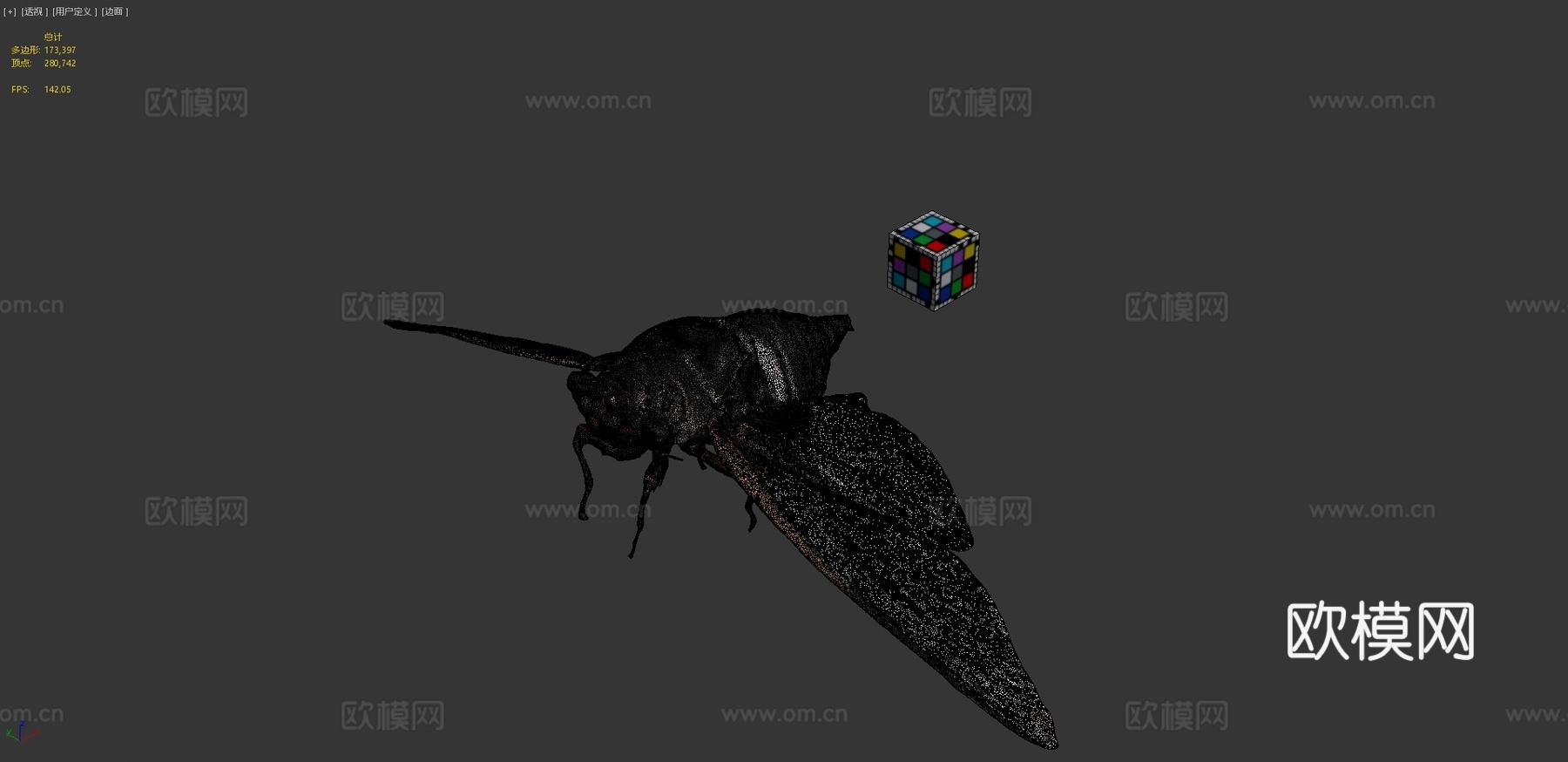 CC0黑熊蝉黑巨蝉3d模型