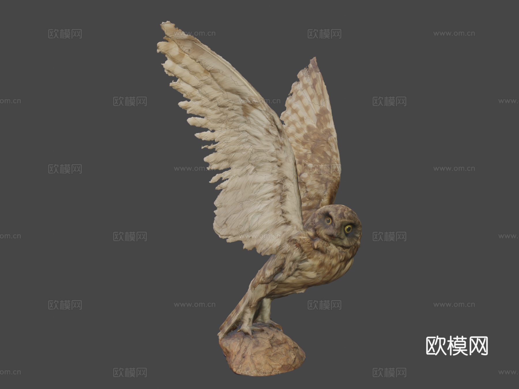 短耳猫头鹰(约翰·菲诺作品)3d模型