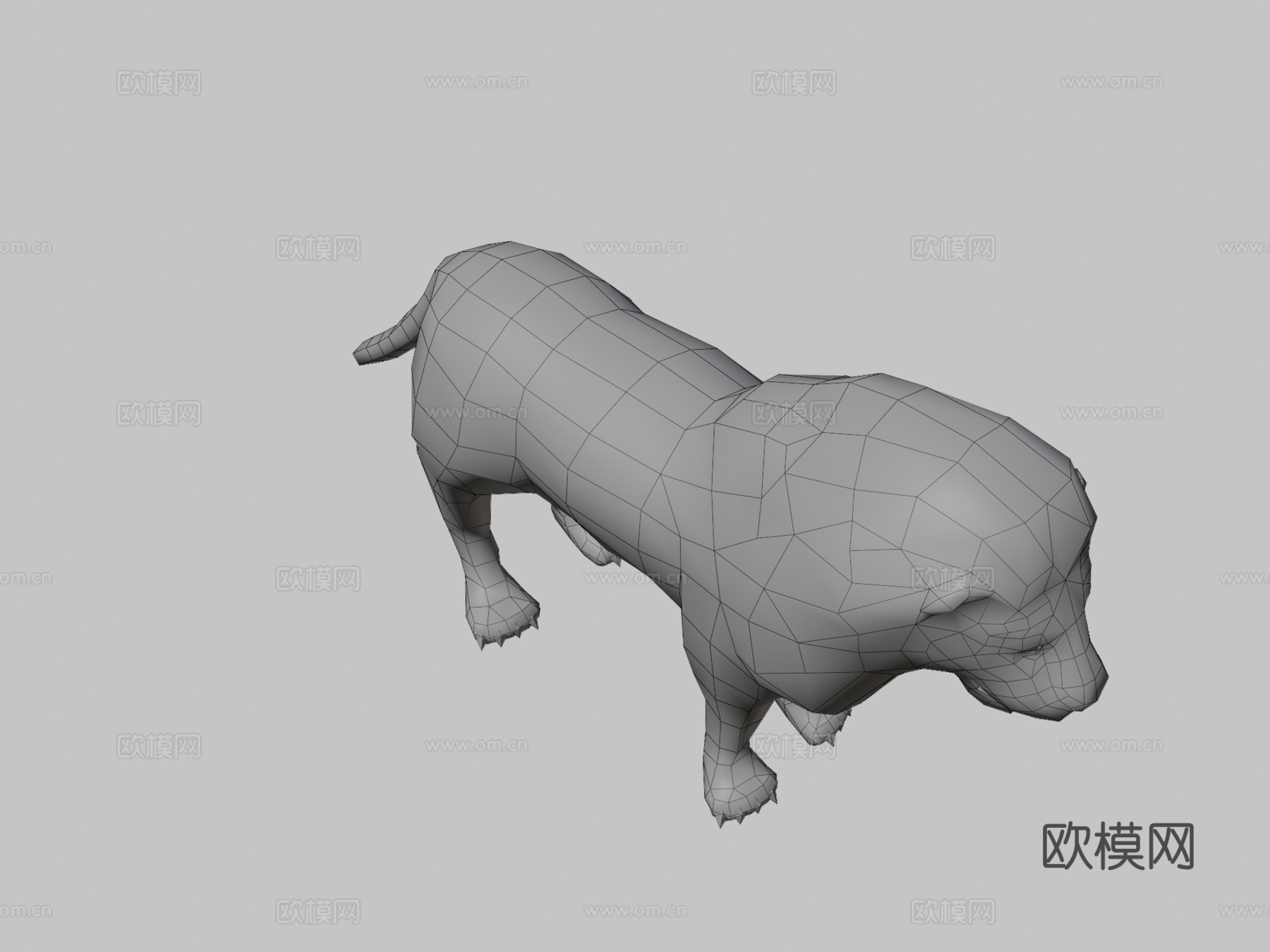 DRT-野生动物-狮子3d模型