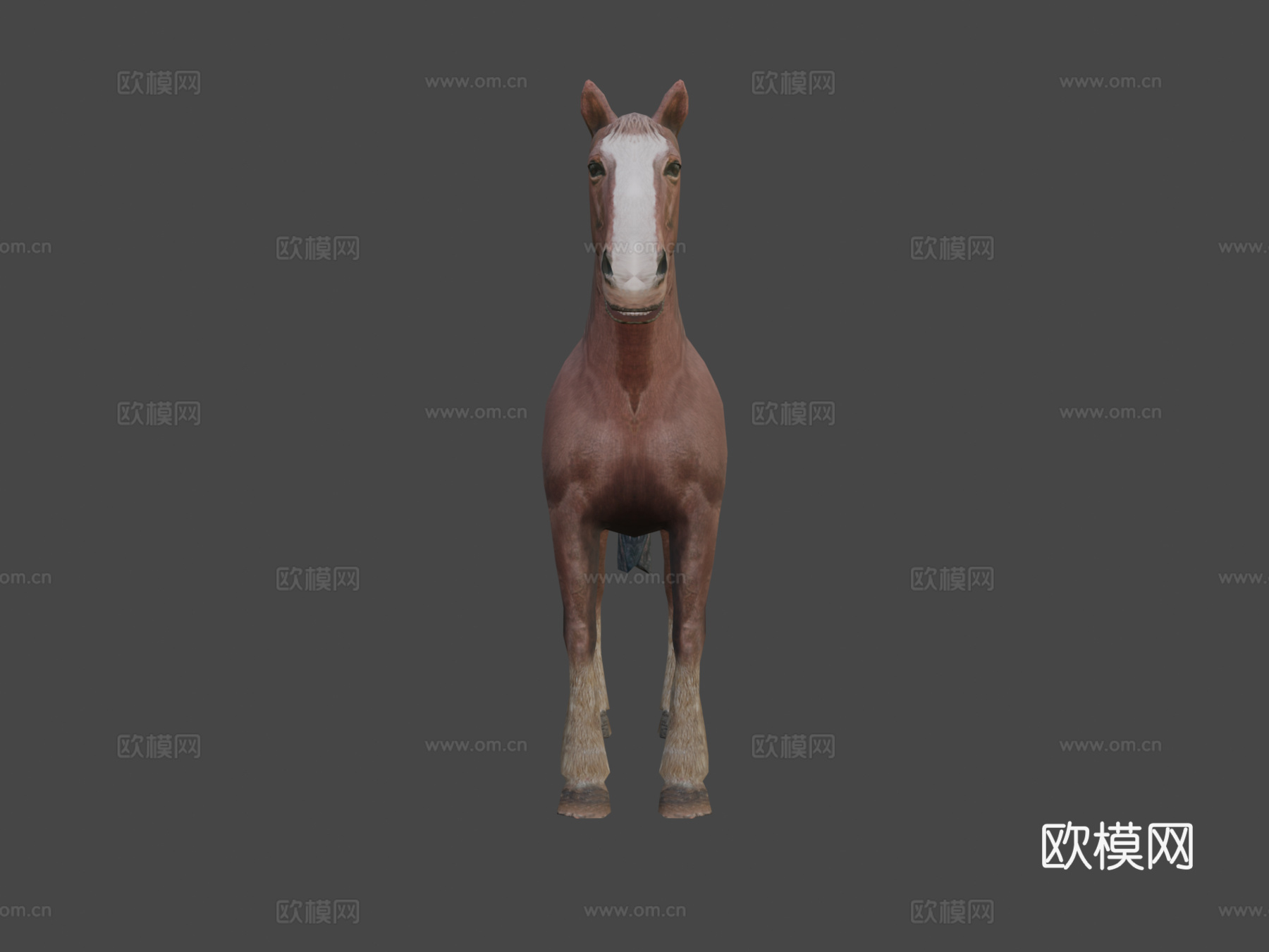 DRT-家养动物-马3d模型