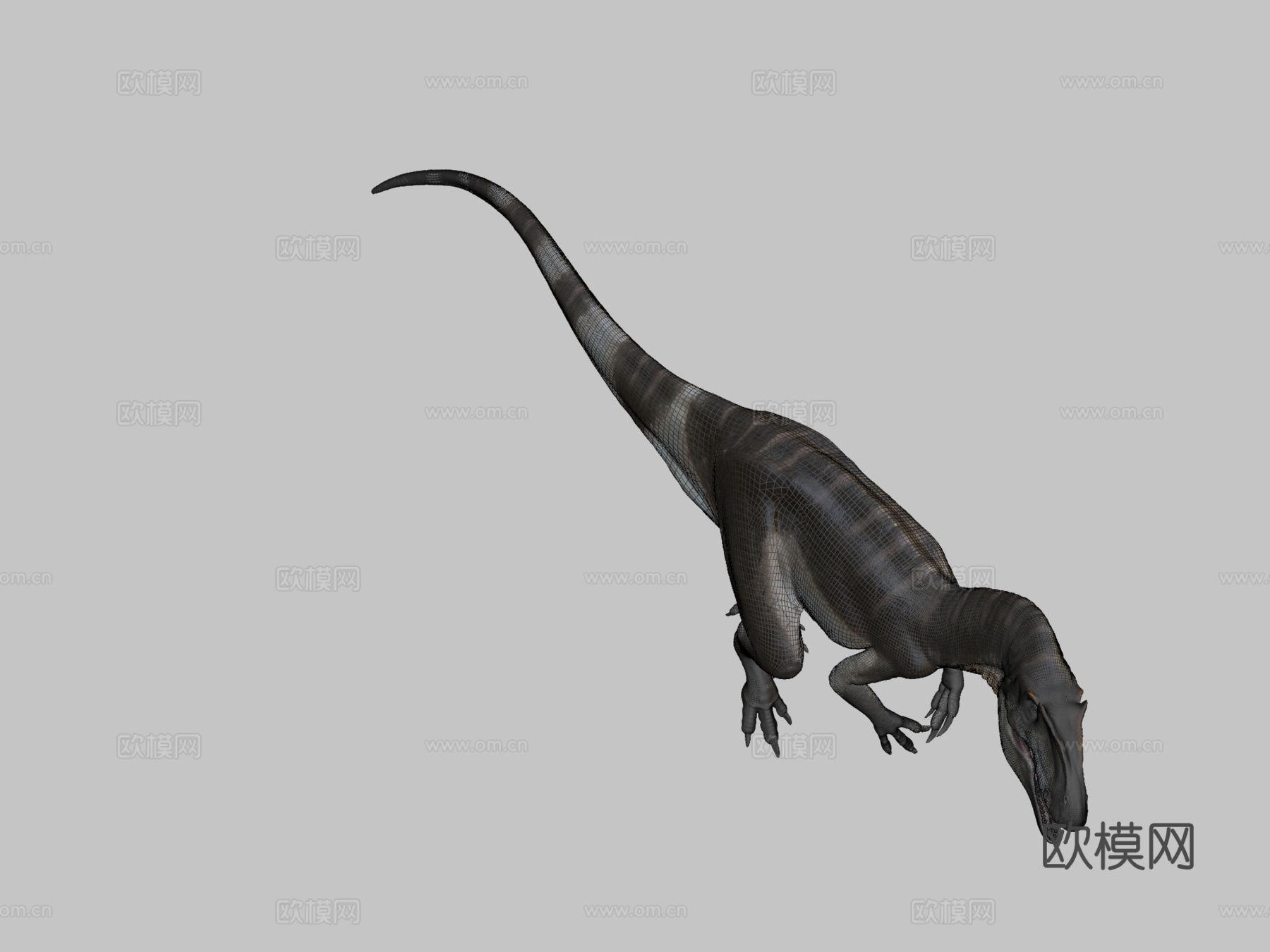 脆弱异特龙3d模型