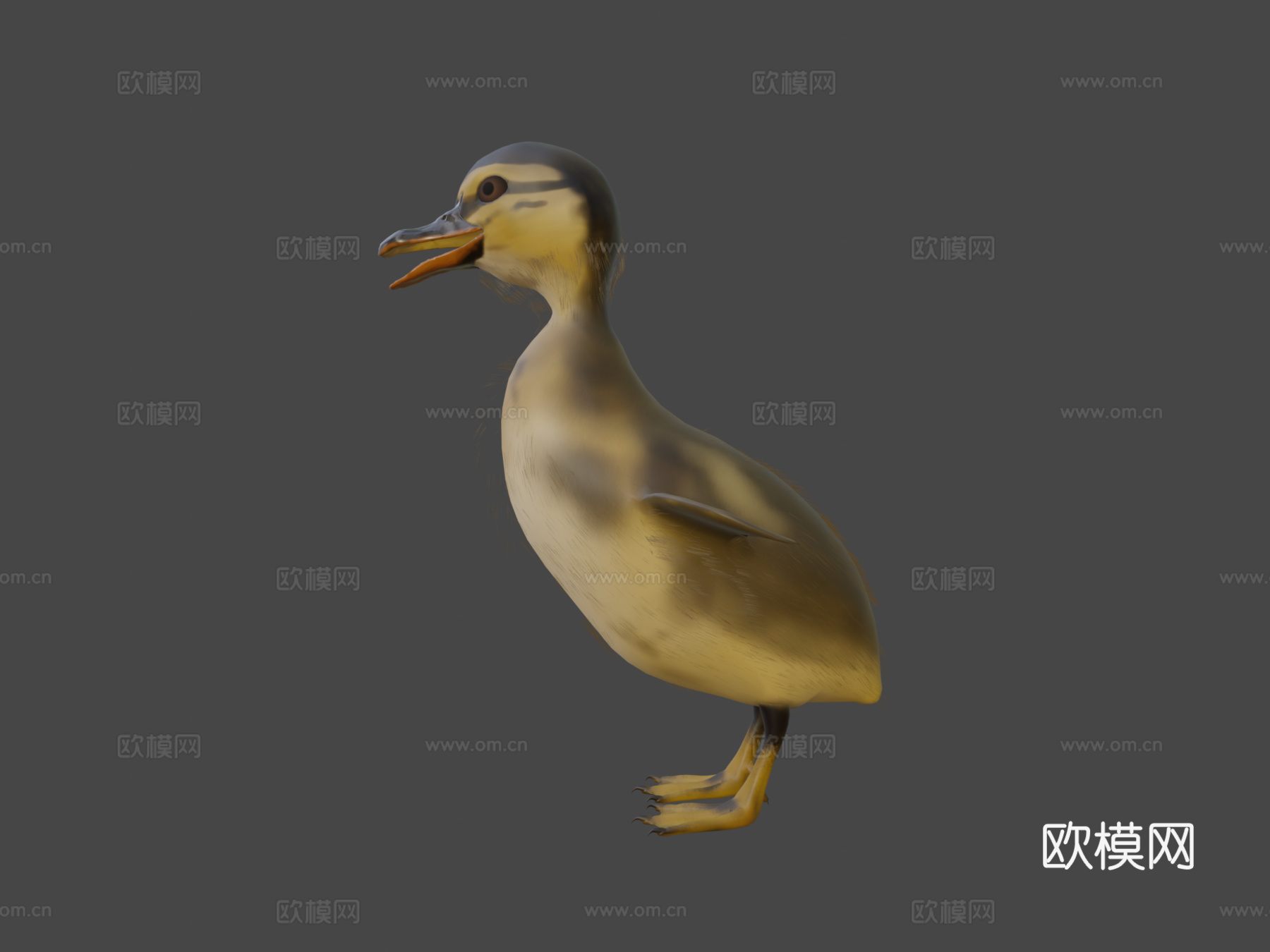 小鸭鸭3d模型