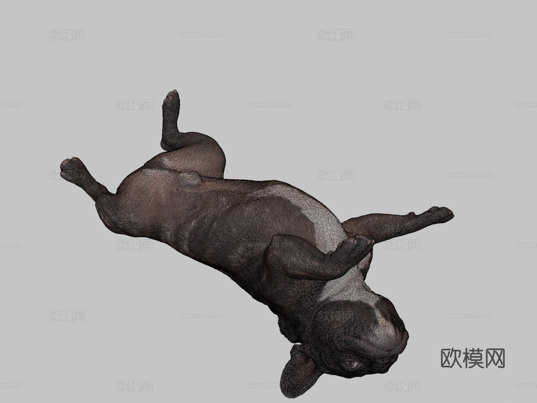 狗B-113-斗牛犬3d模型