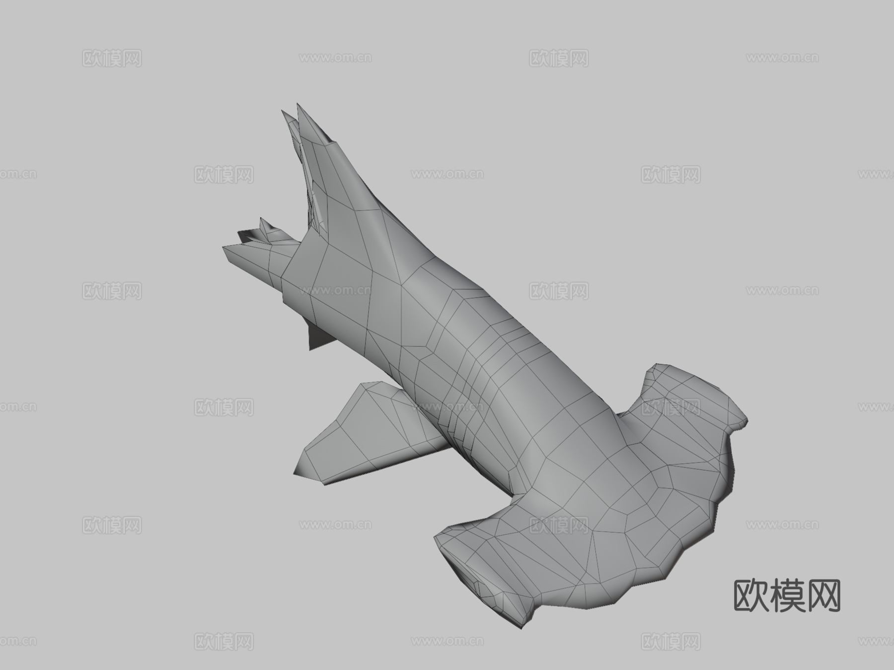 幼年扇形双髻鲨3d模型