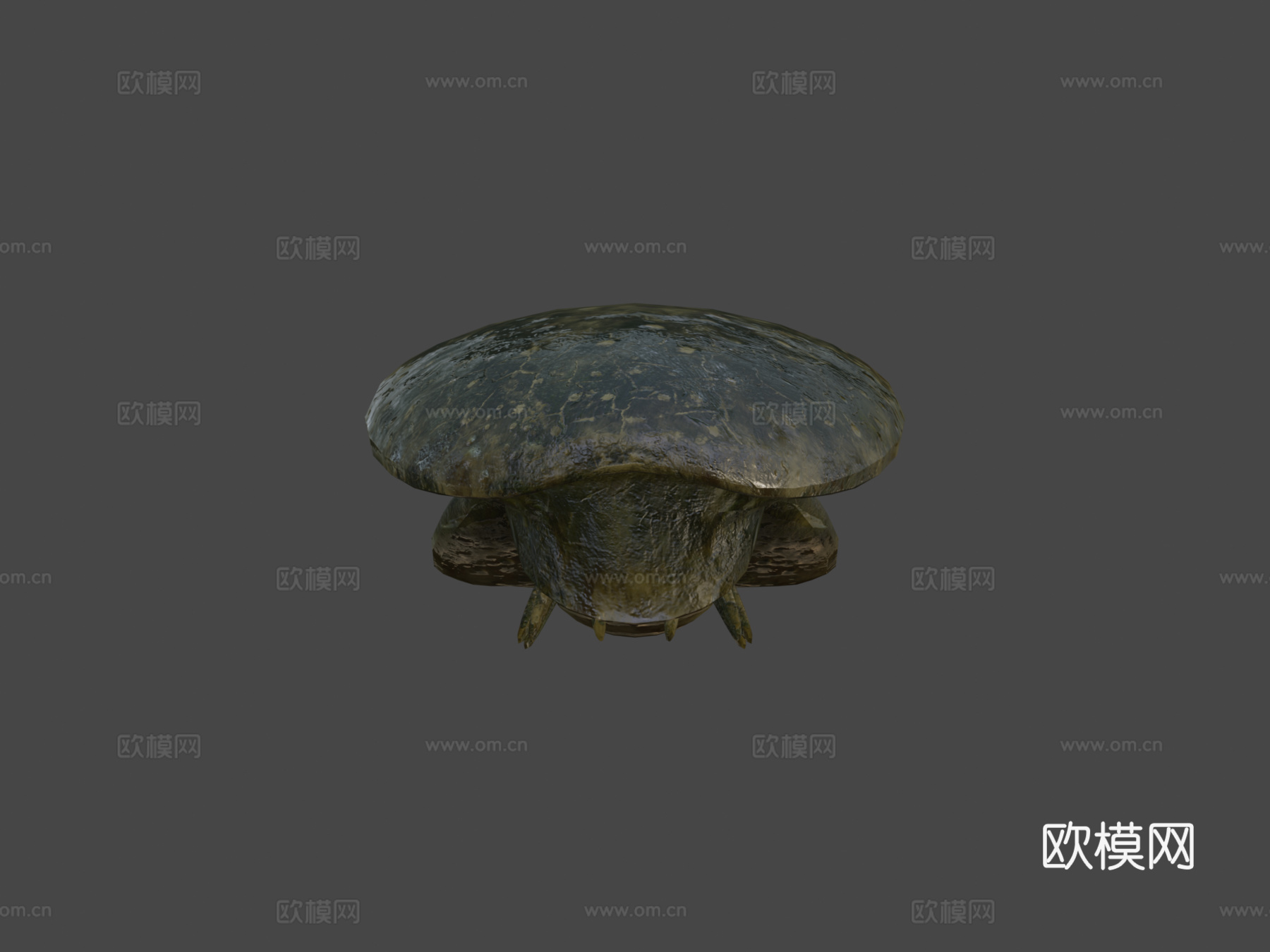 蛛形纲多足生物3d模型