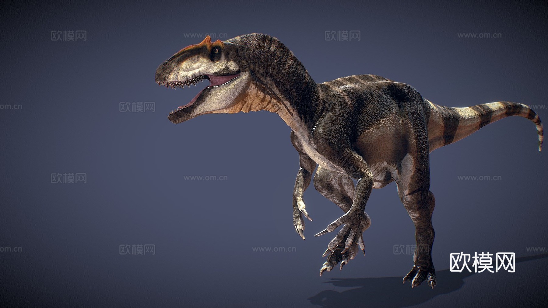 脆弱异特龙3d模型