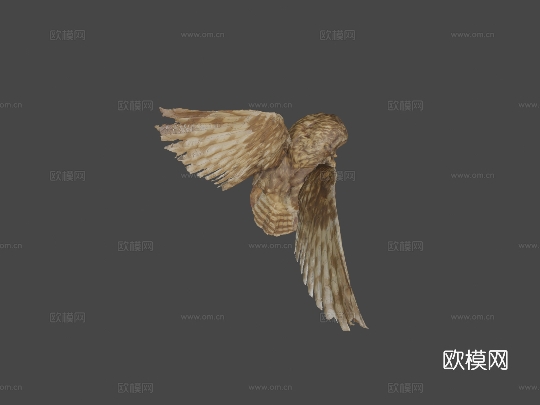 短耳猫头鹰(约翰·菲诺作品)3d模型
