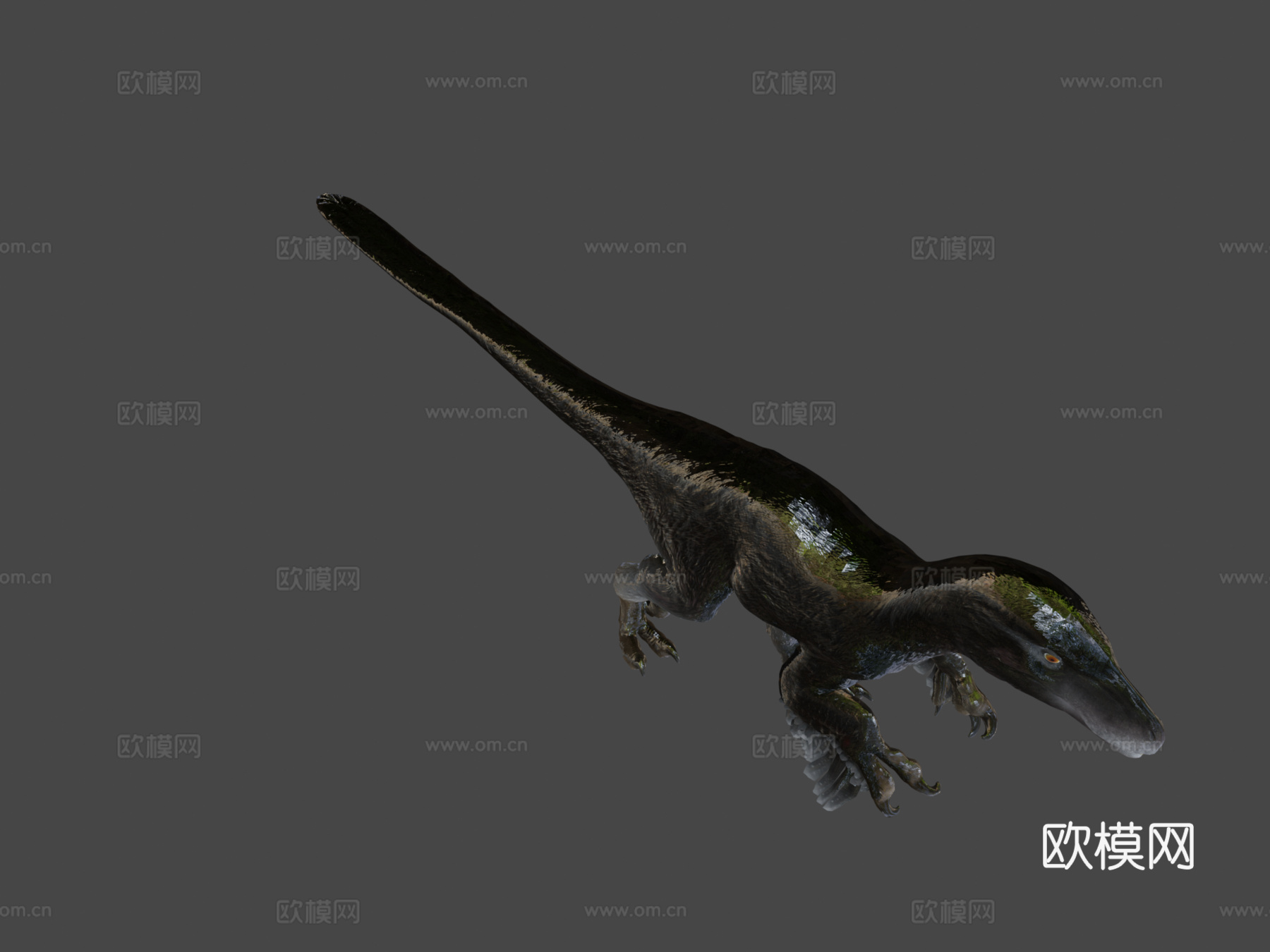 犹他盗龙3d模型