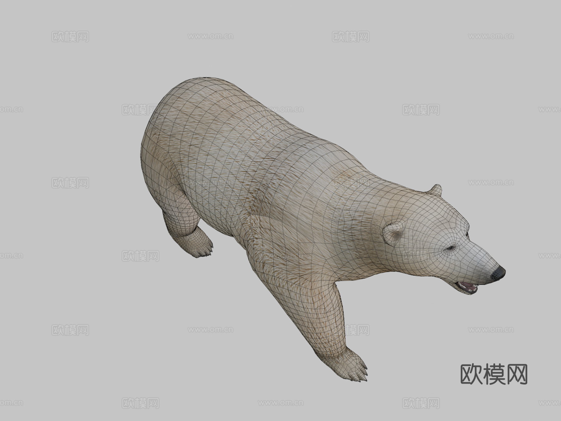 北极熊3d模型