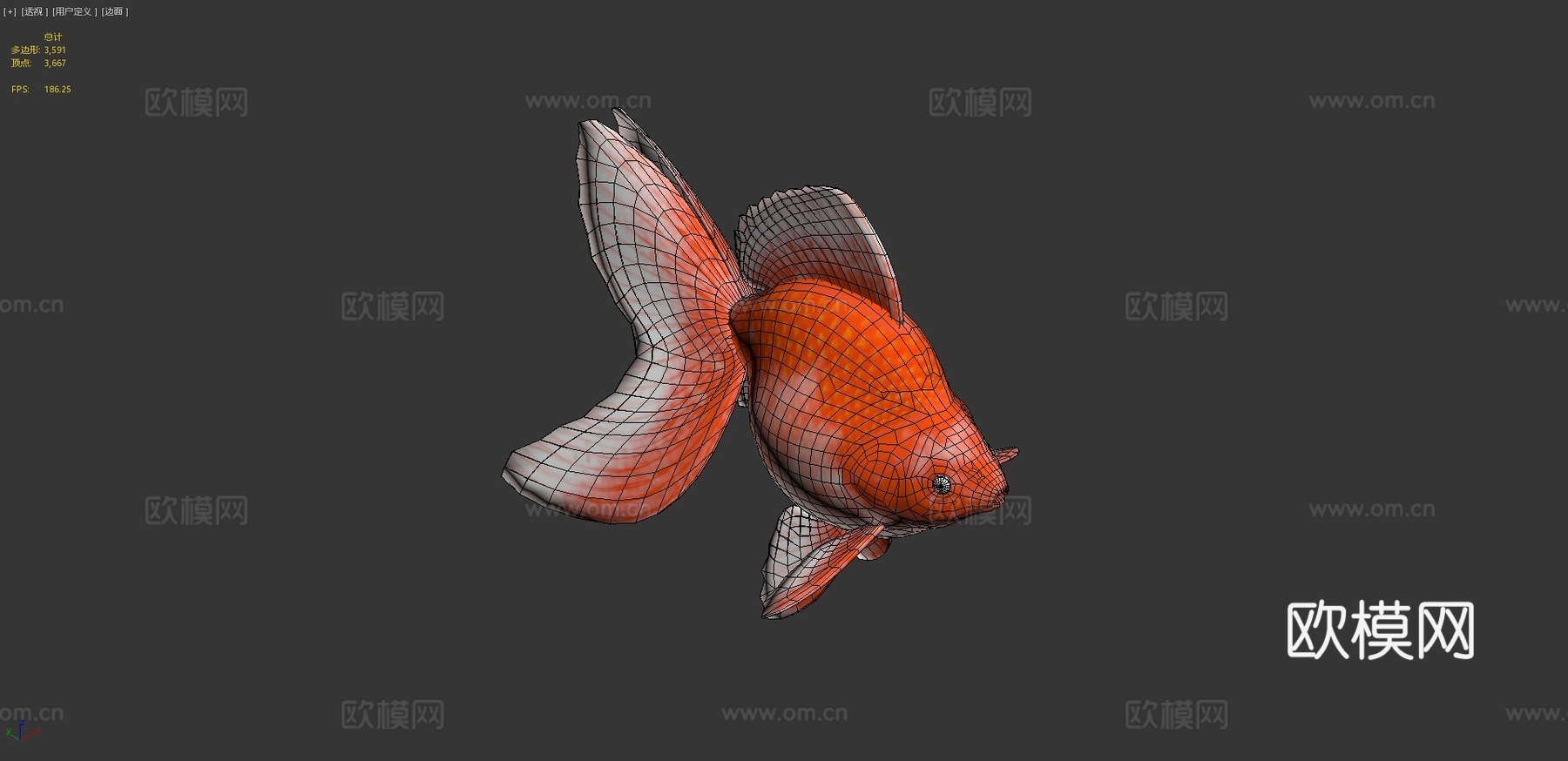 琉金金鱼3d模型