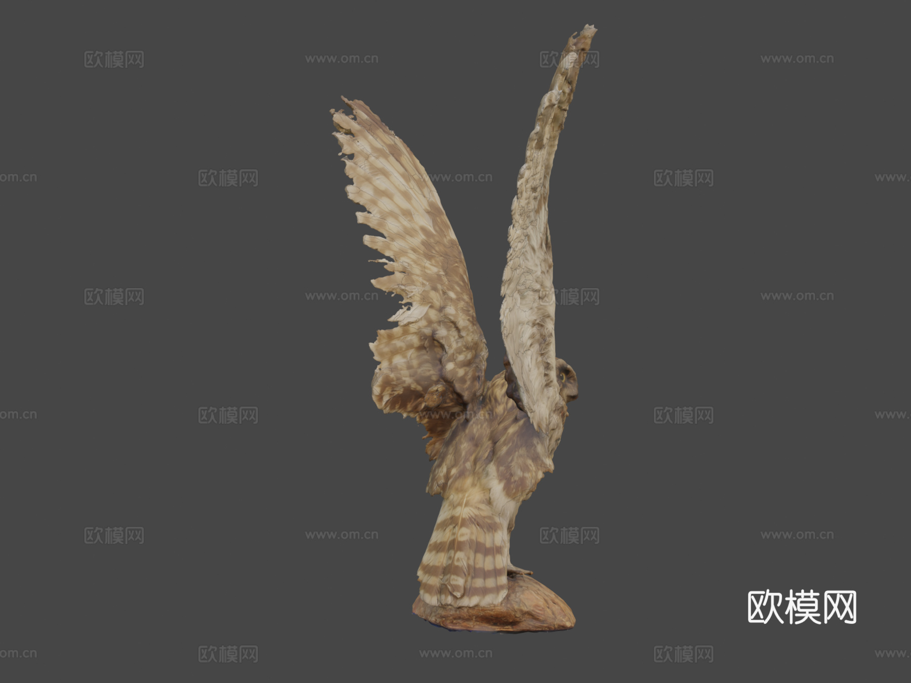 短耳猫头鹰(约翰·菲诺作品)3d模型