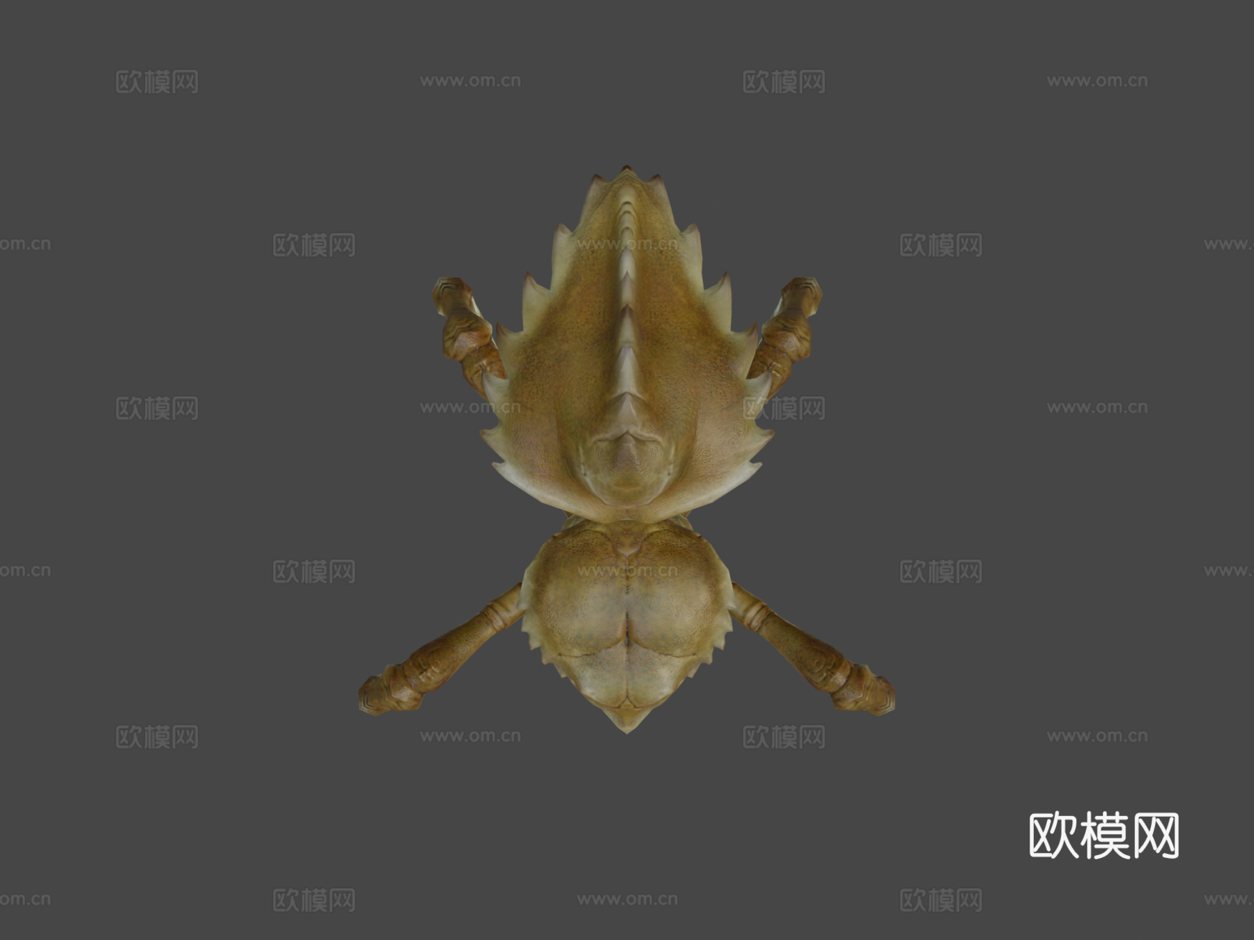 ARACK动画3d模型