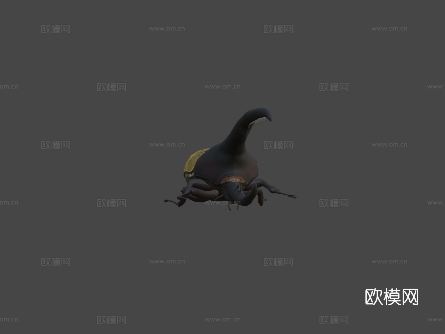 独角仙3d模型