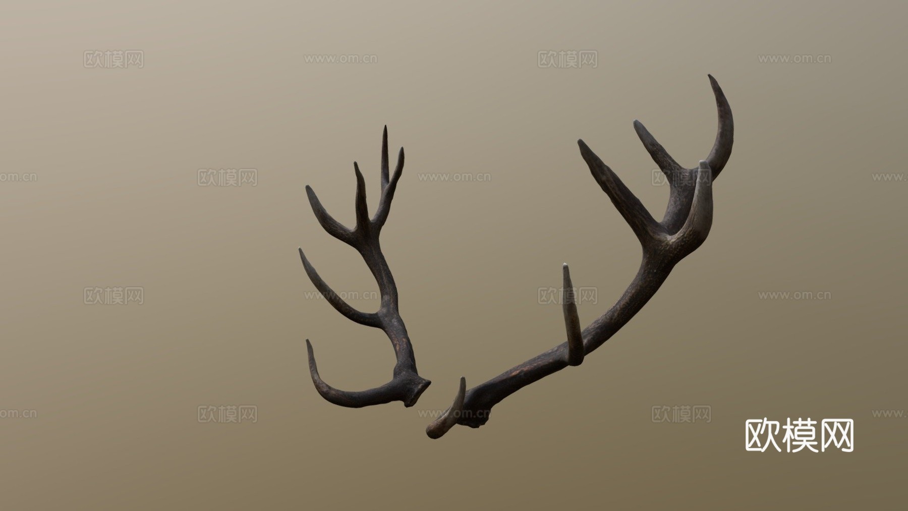芦苇鹿角扫描3d模型