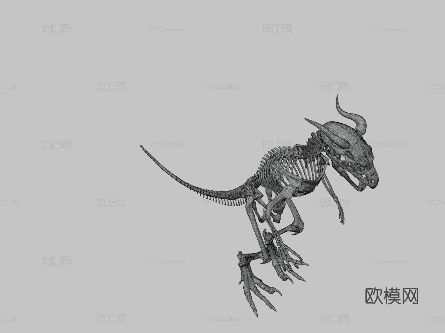 希扎斯里解剖参考-骨骼3d模型