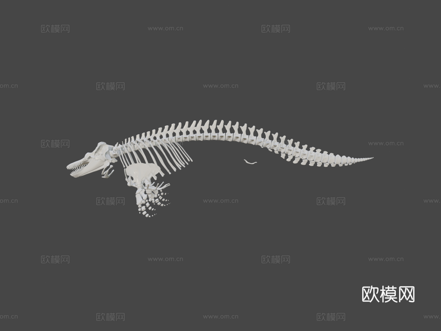 虎鲸NMML-1850=希望=3d模型