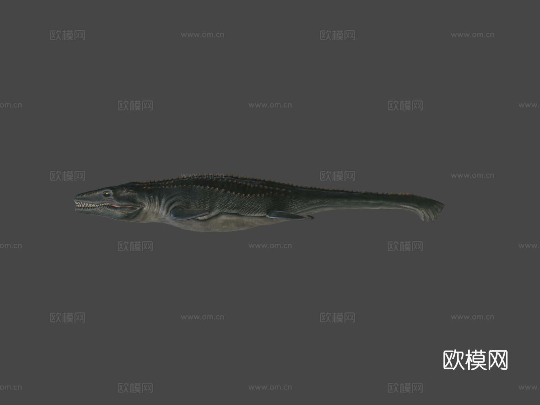沧龙3d模型