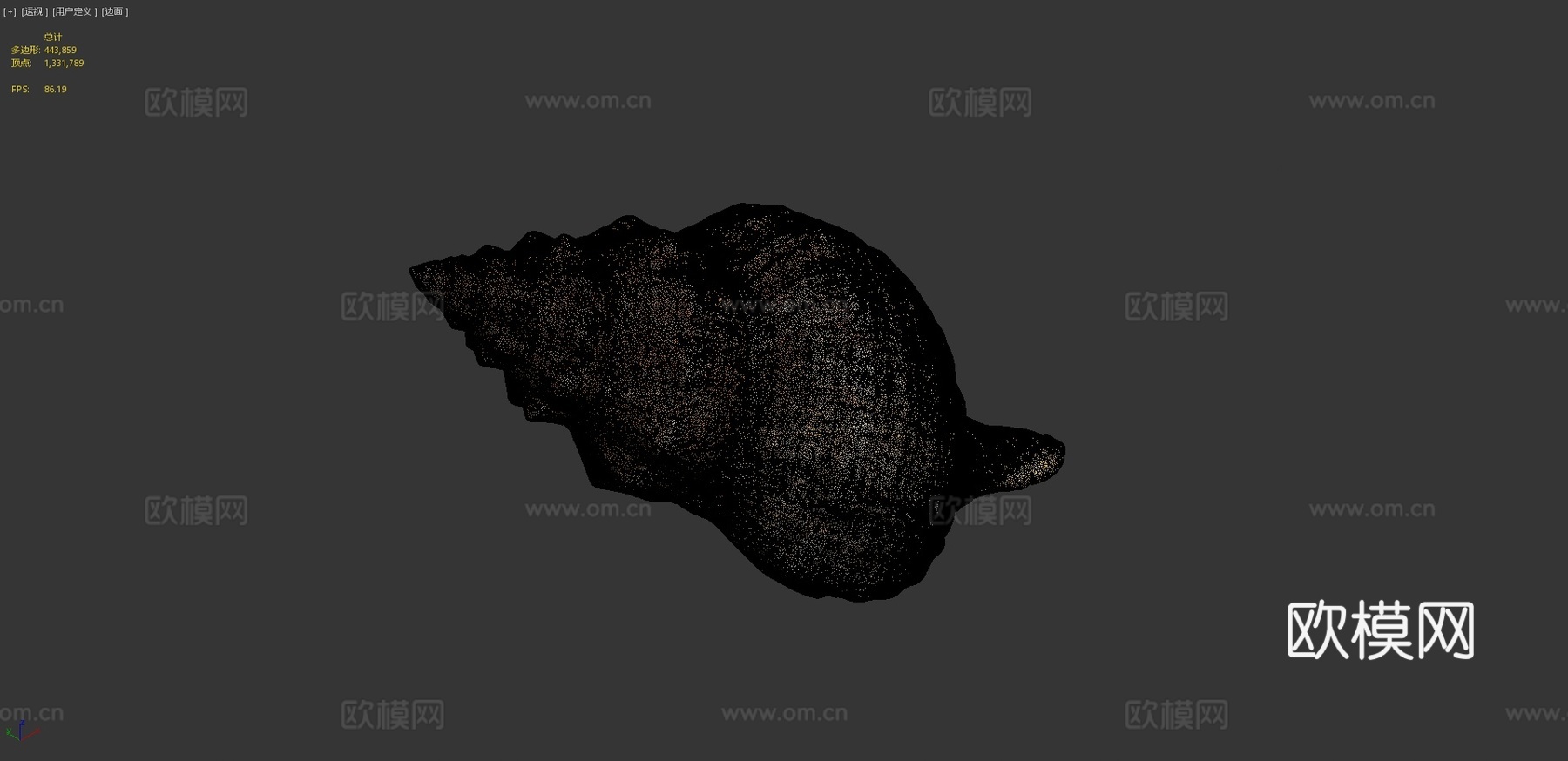丝状马螺3d模型