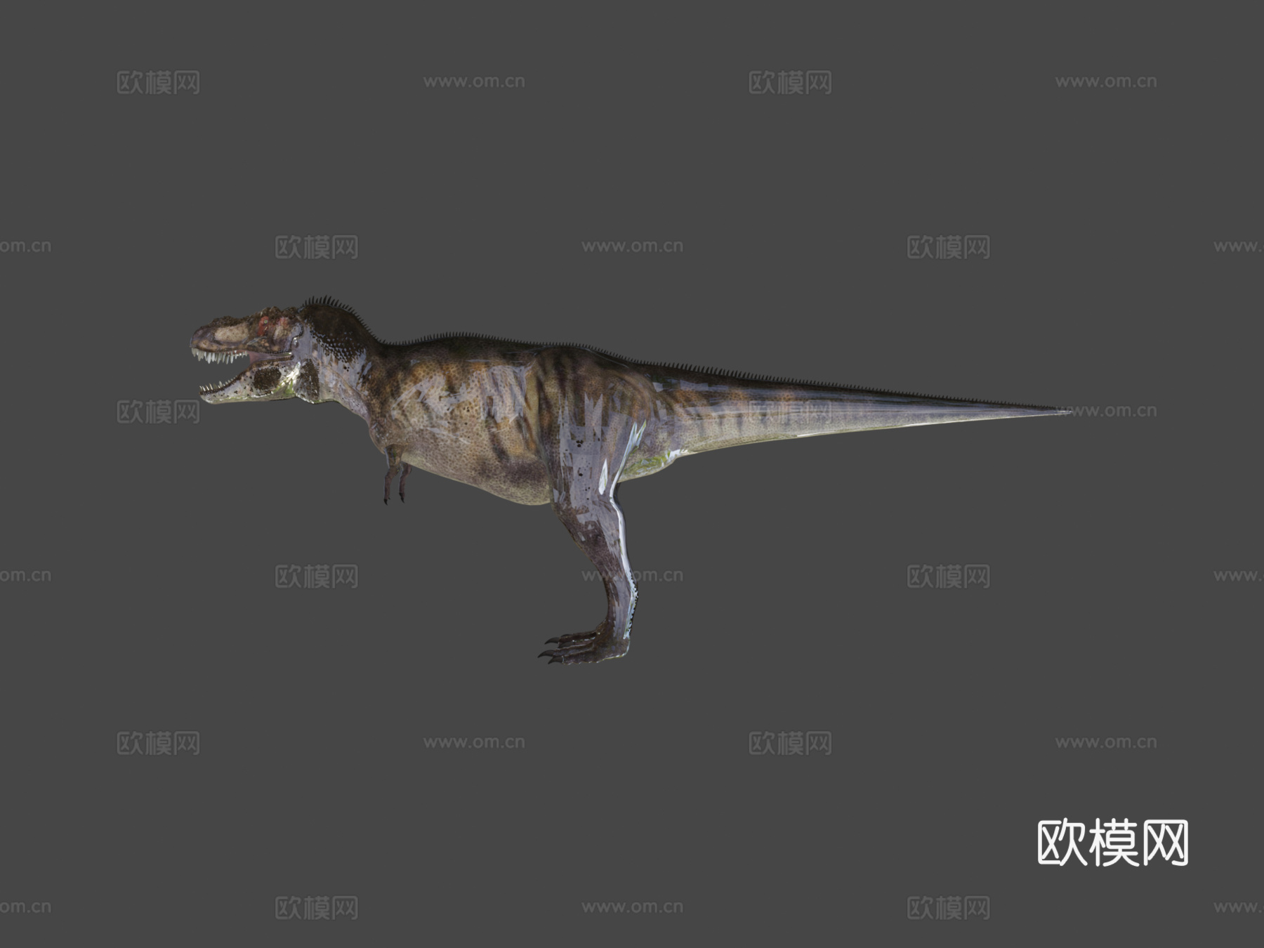 暴龙迪诺劳尔模型3d模型3d模型