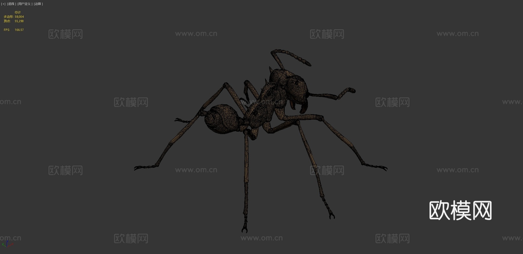 切叶蚁昆虫3d模型3d模型