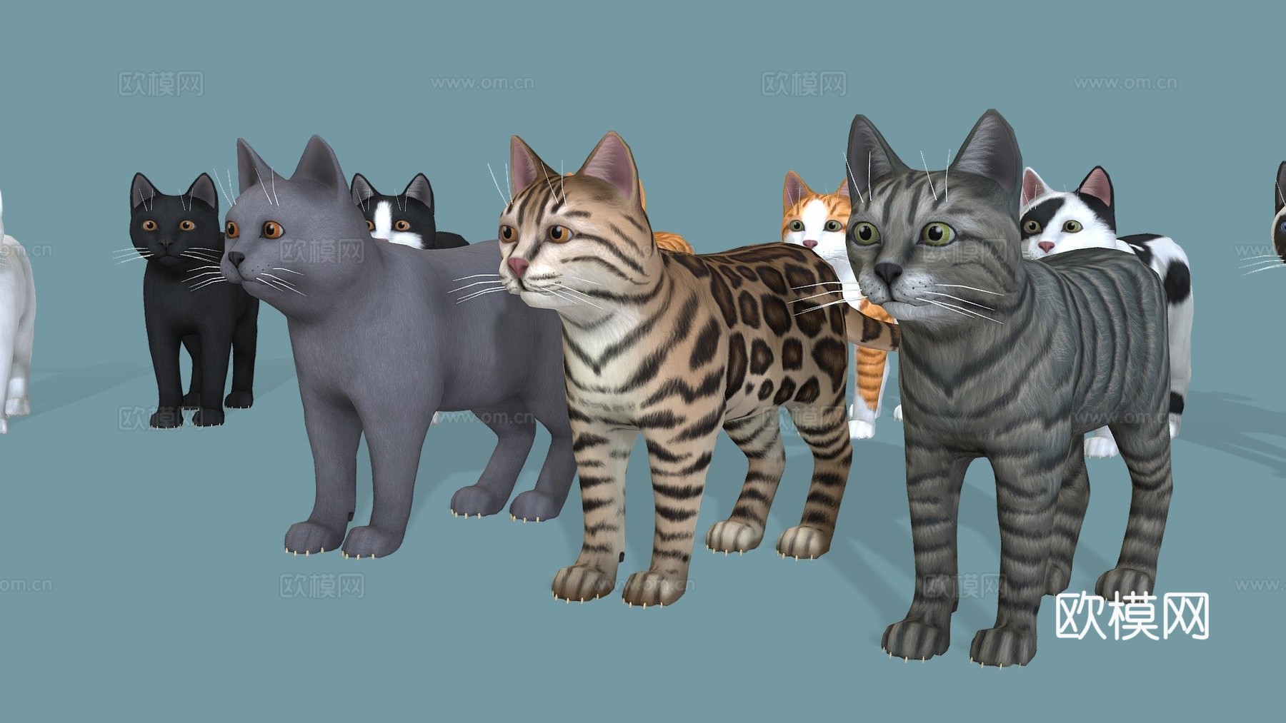 卡通猫套装3d模型