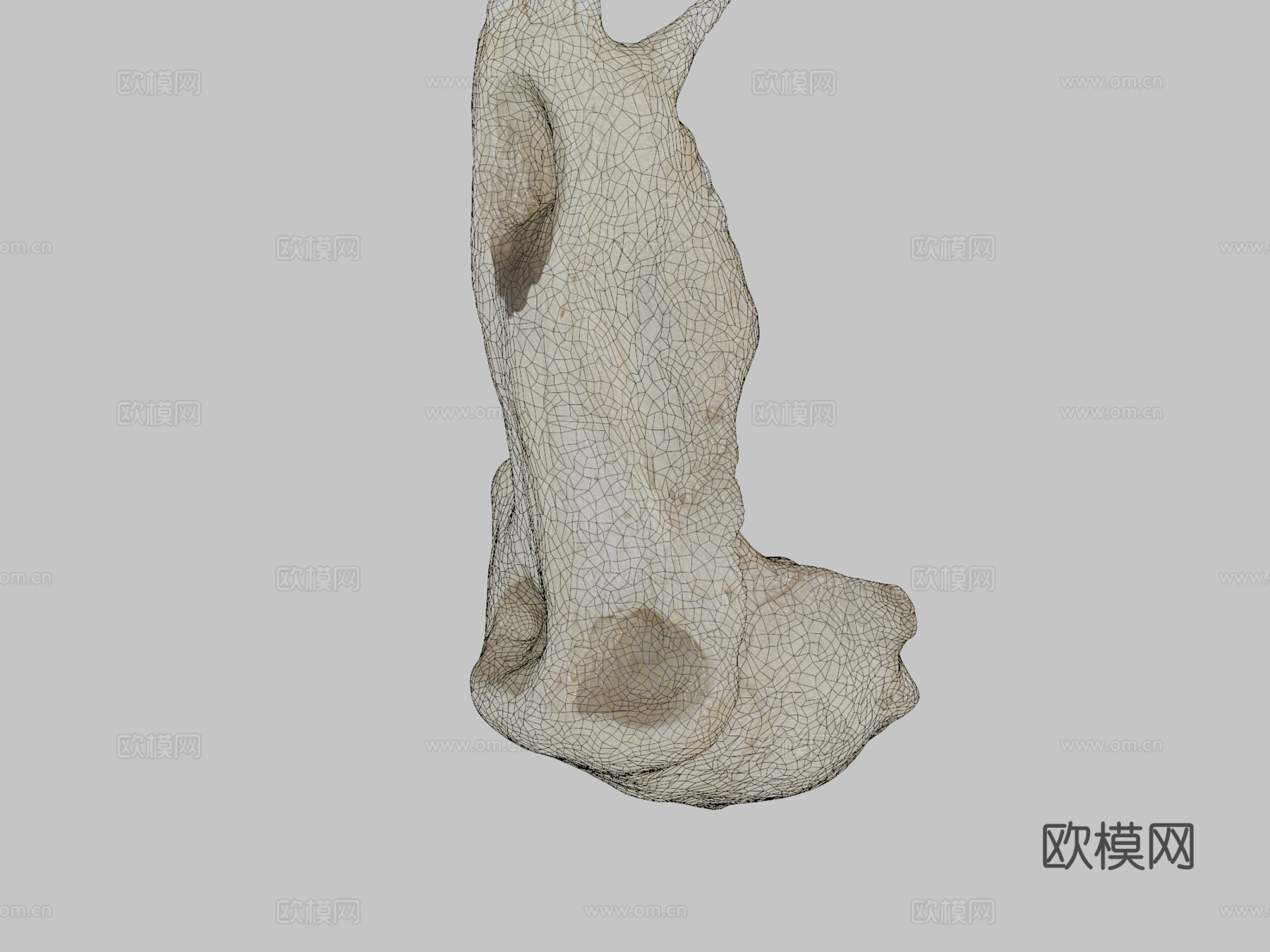 狒狒头骨3d模型
