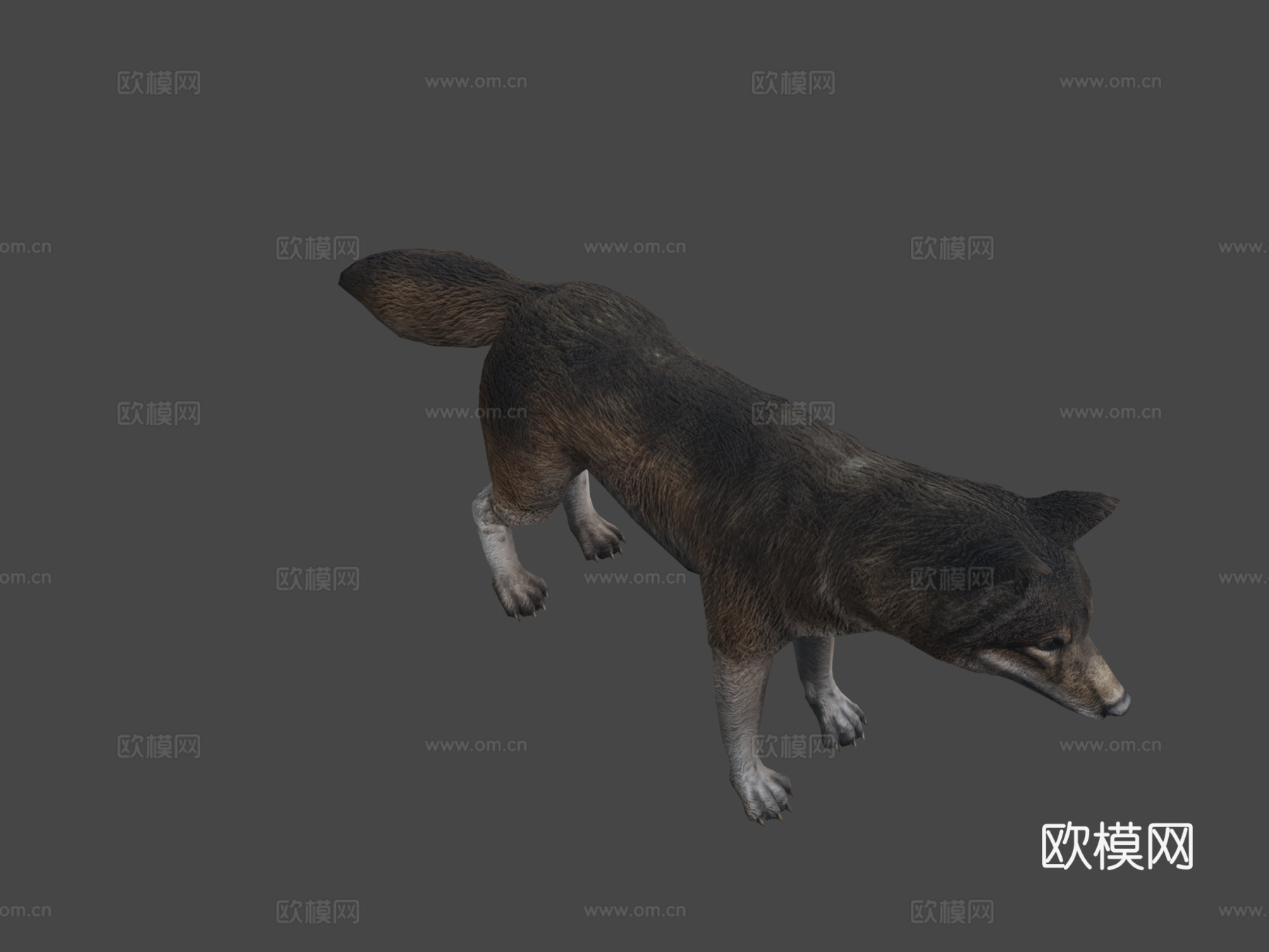 巨狼动画3d模型