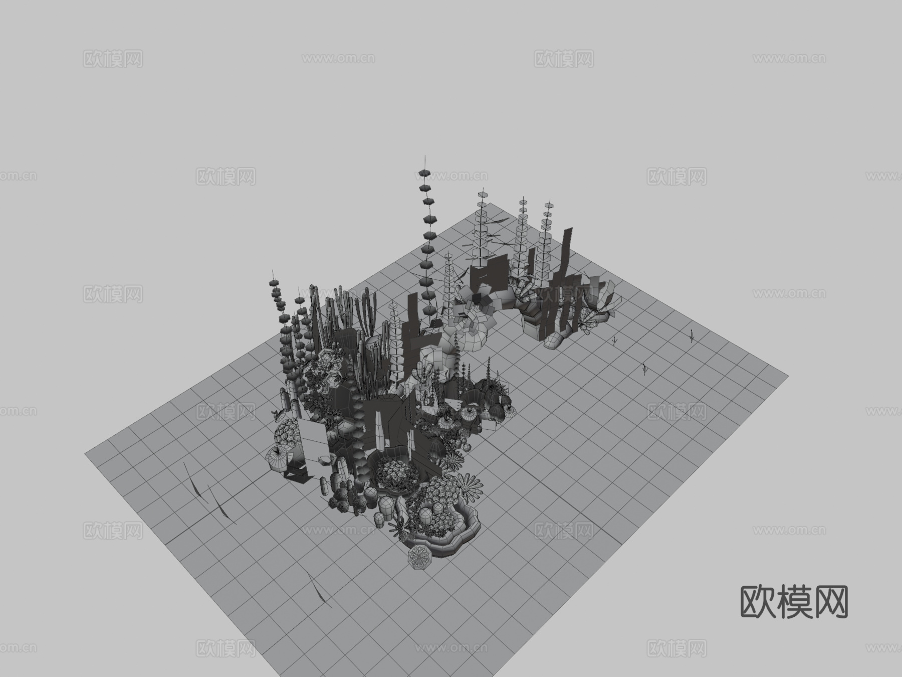 美丽海鱼3d模型