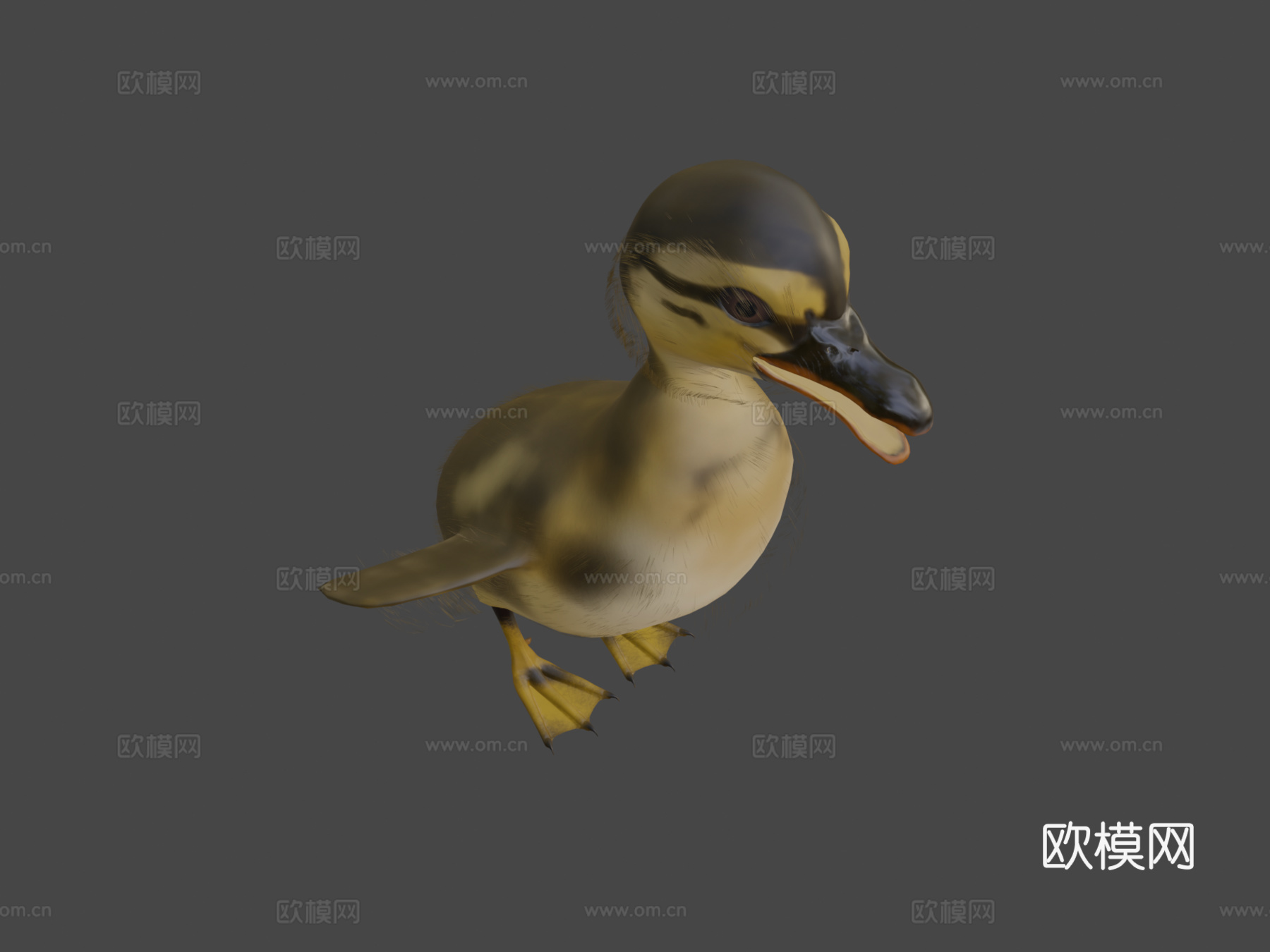 小鸭鸭3d模型