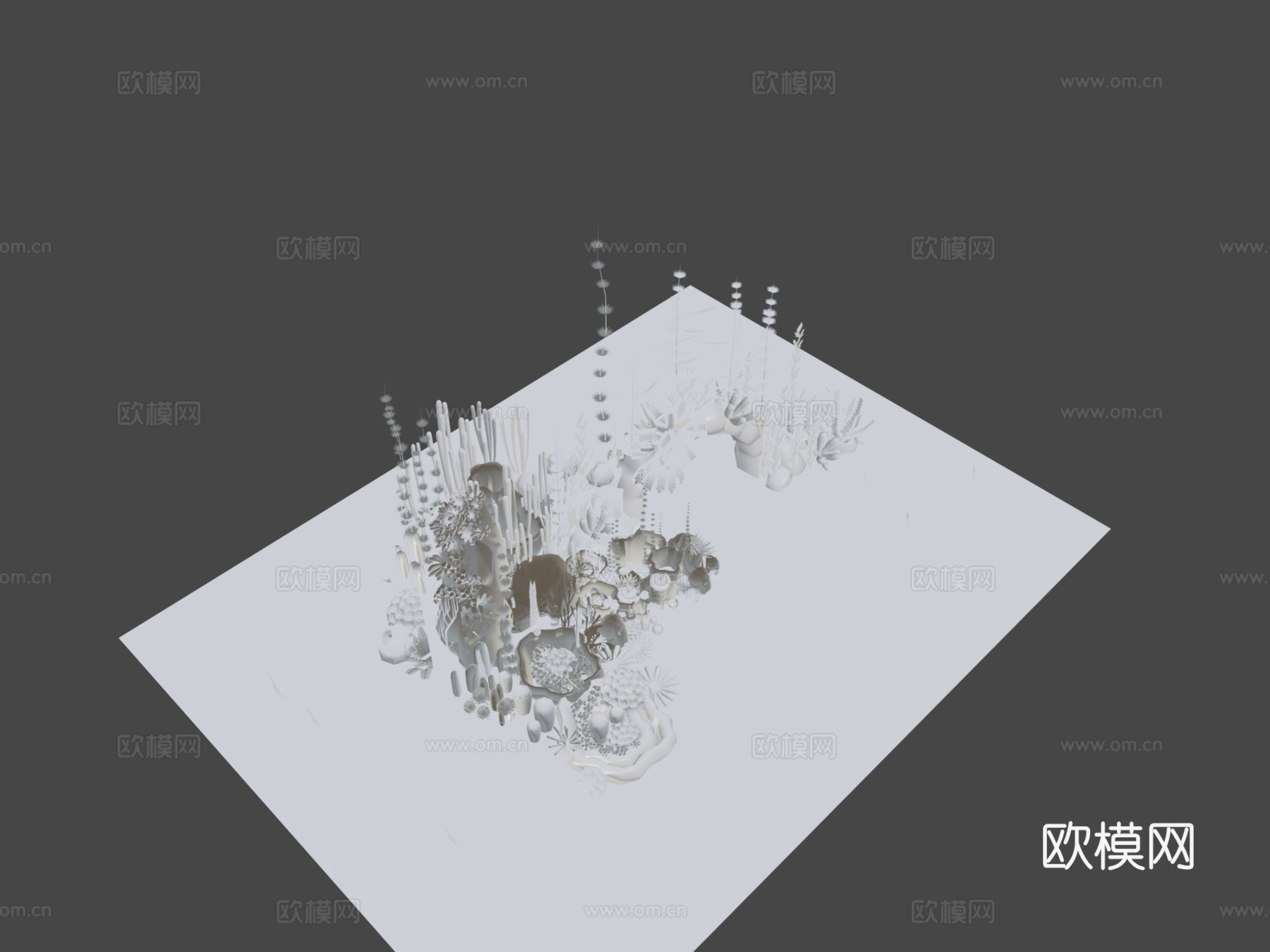 美丽海鱼3d模型