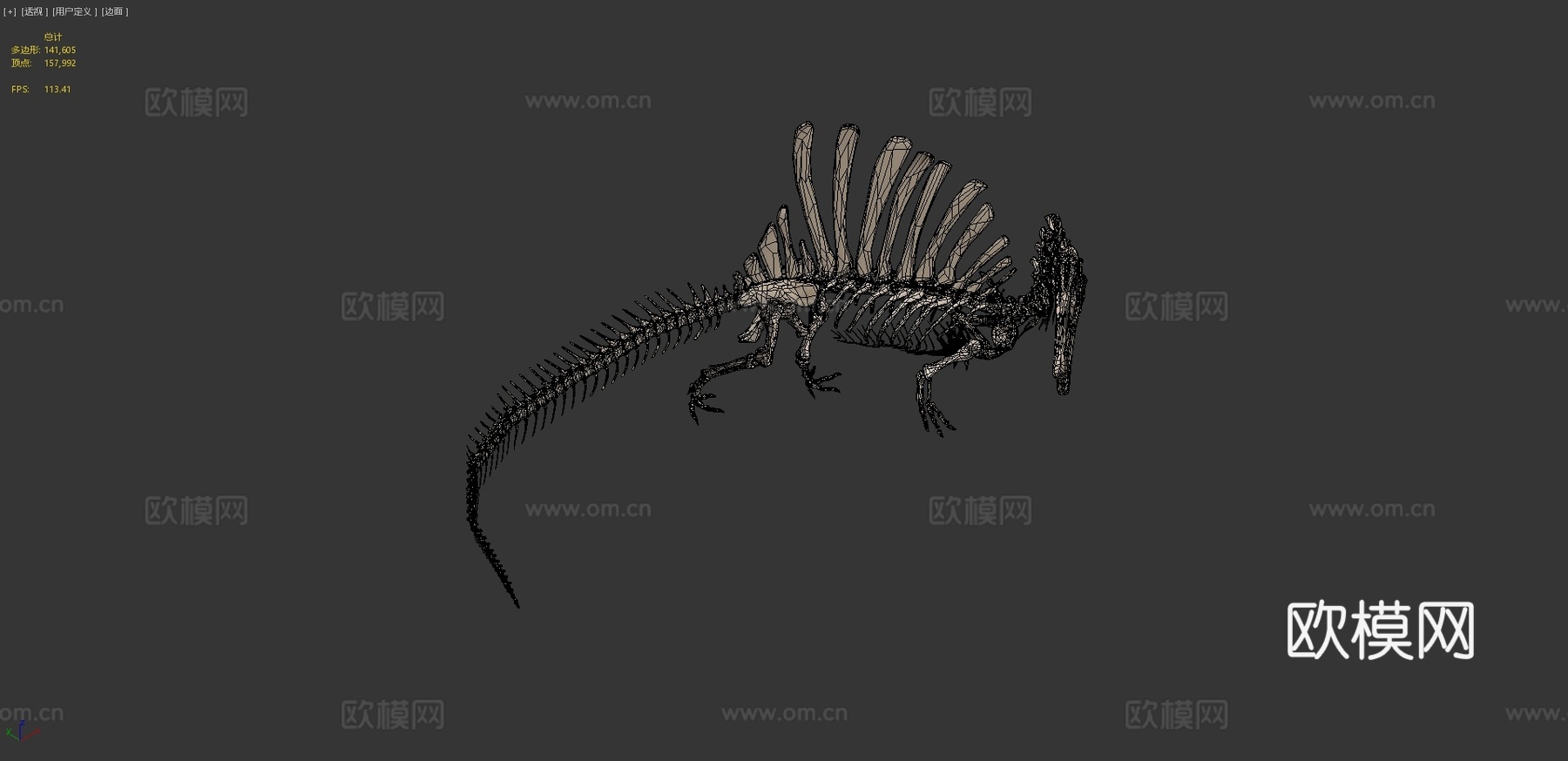 埃及棘龙骨骼3d模型