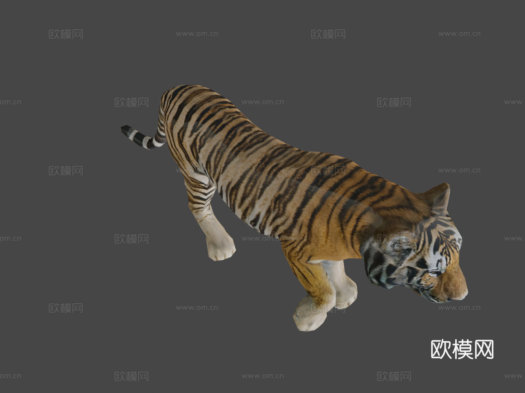 老虎3d模型