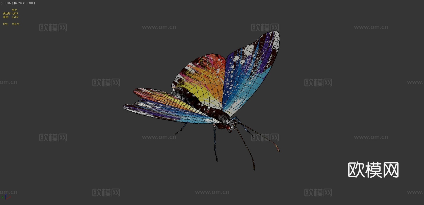 动画飞行蝴蝶循环v2.03d模型