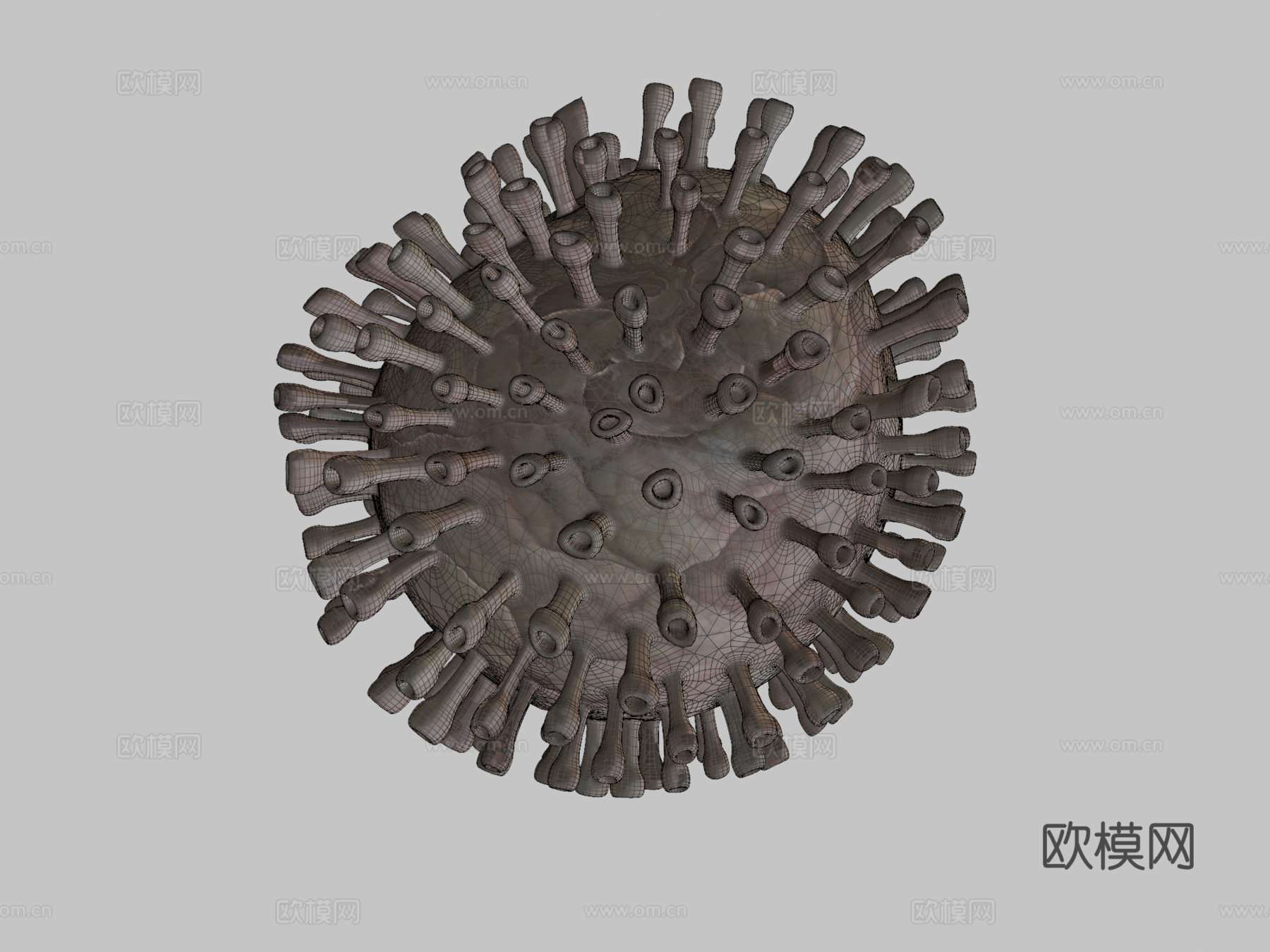 病毒5C动画3d模型