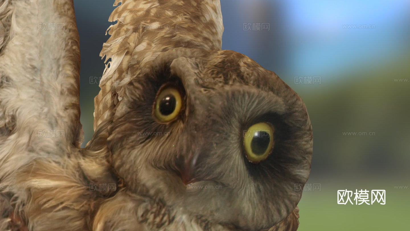短耳猫头鹰(约翰·菲诺作品)3d模型