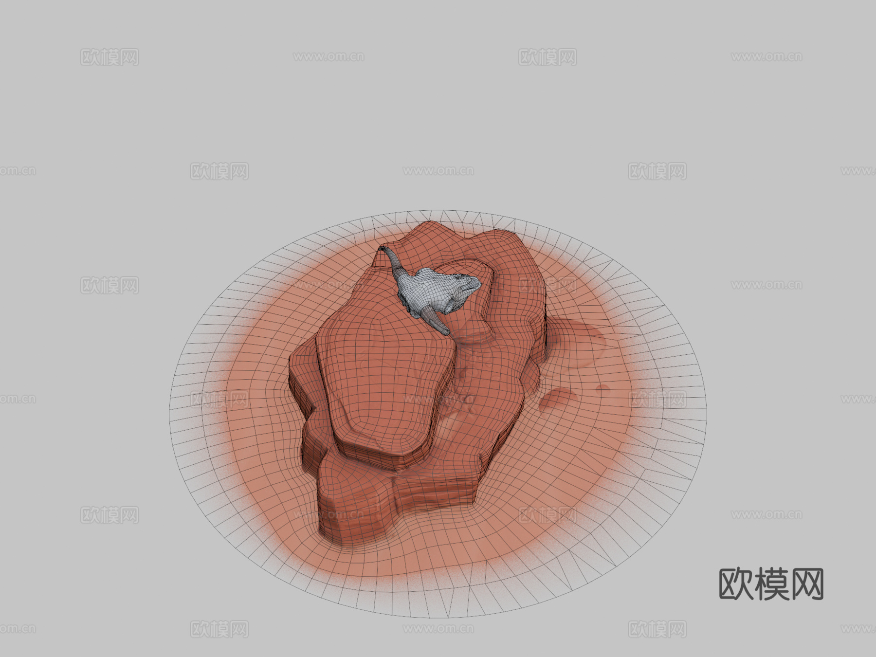 水牛头骨立体模型3d模型