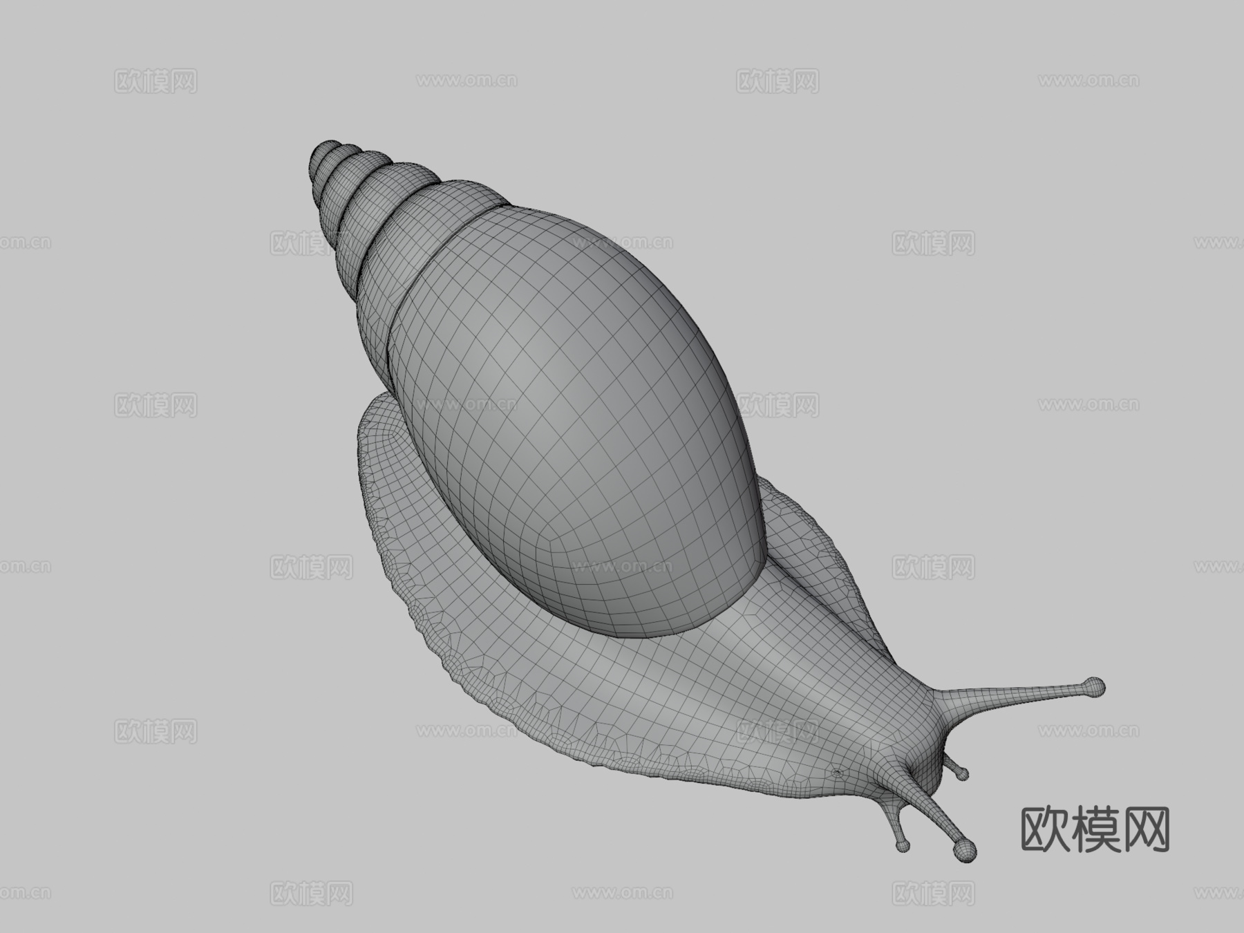 蜗牛照片级写实3d模型