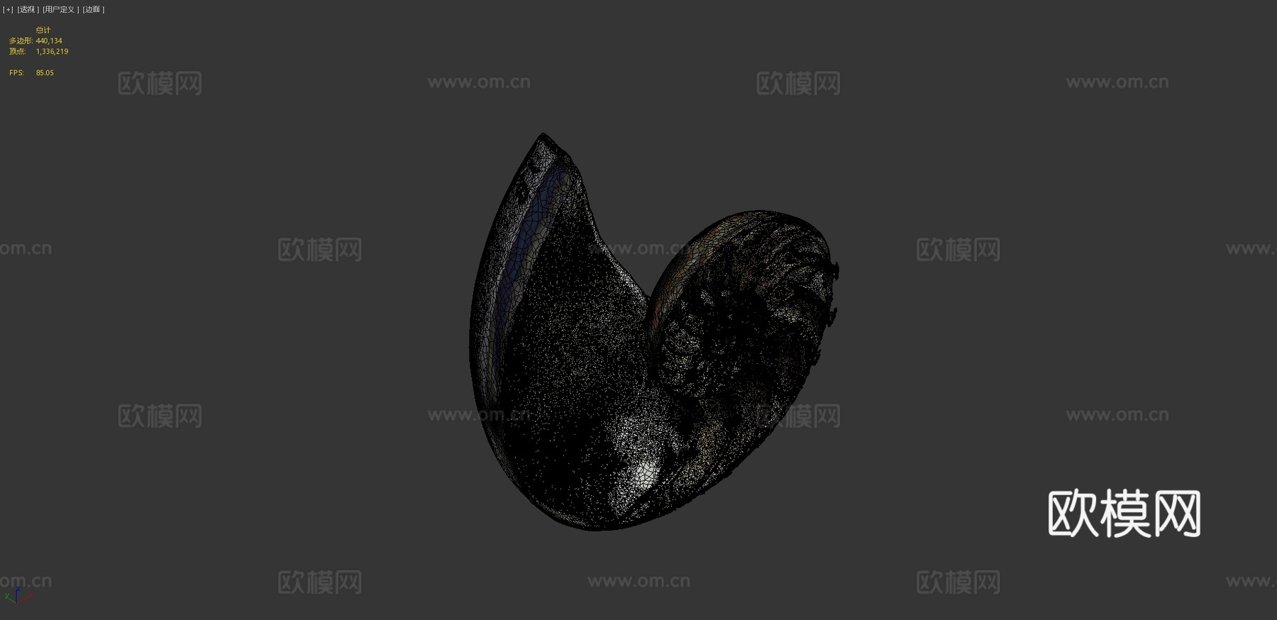 鹦鹉螺3d模型