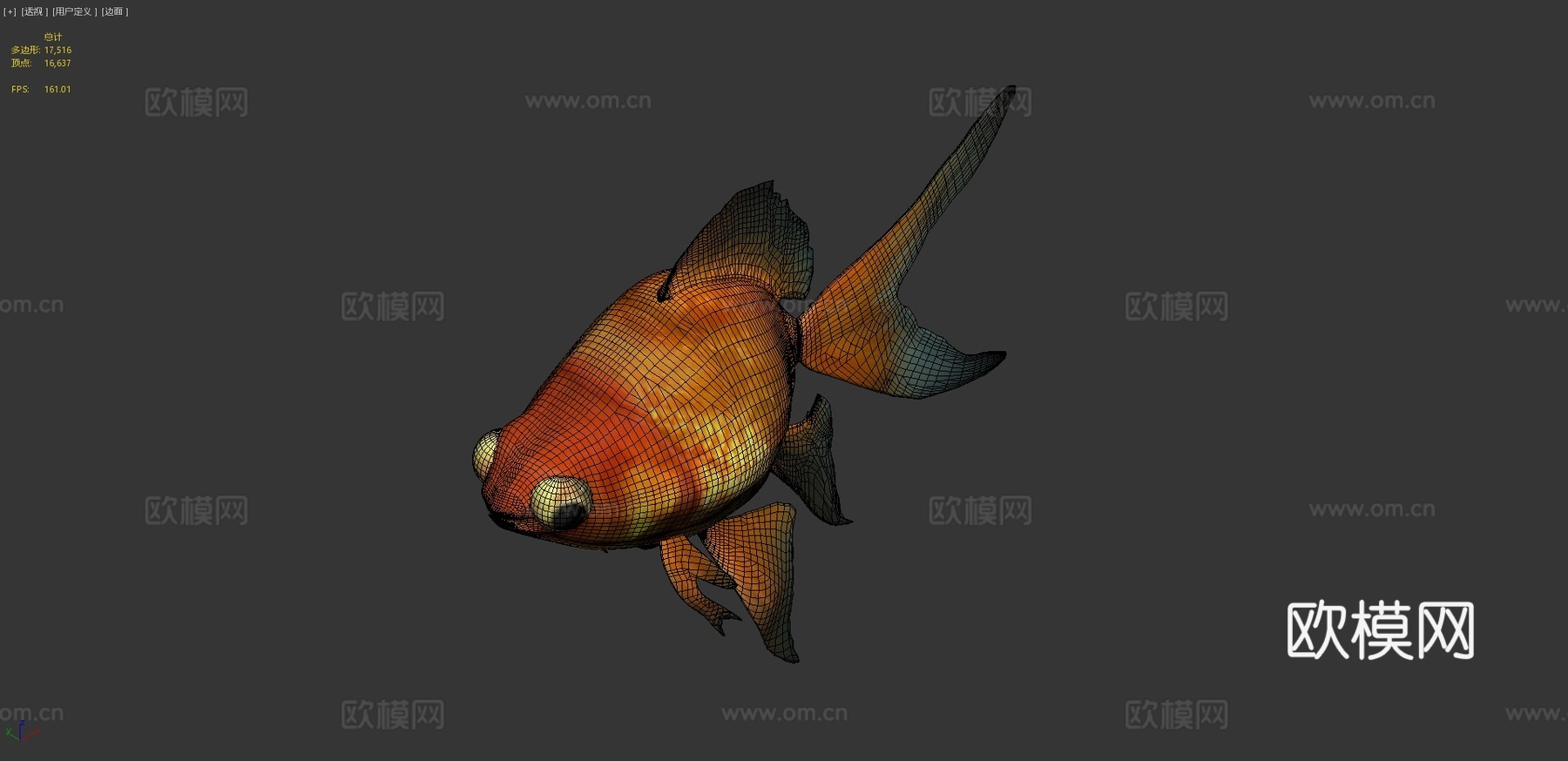 金鱼3d模型
