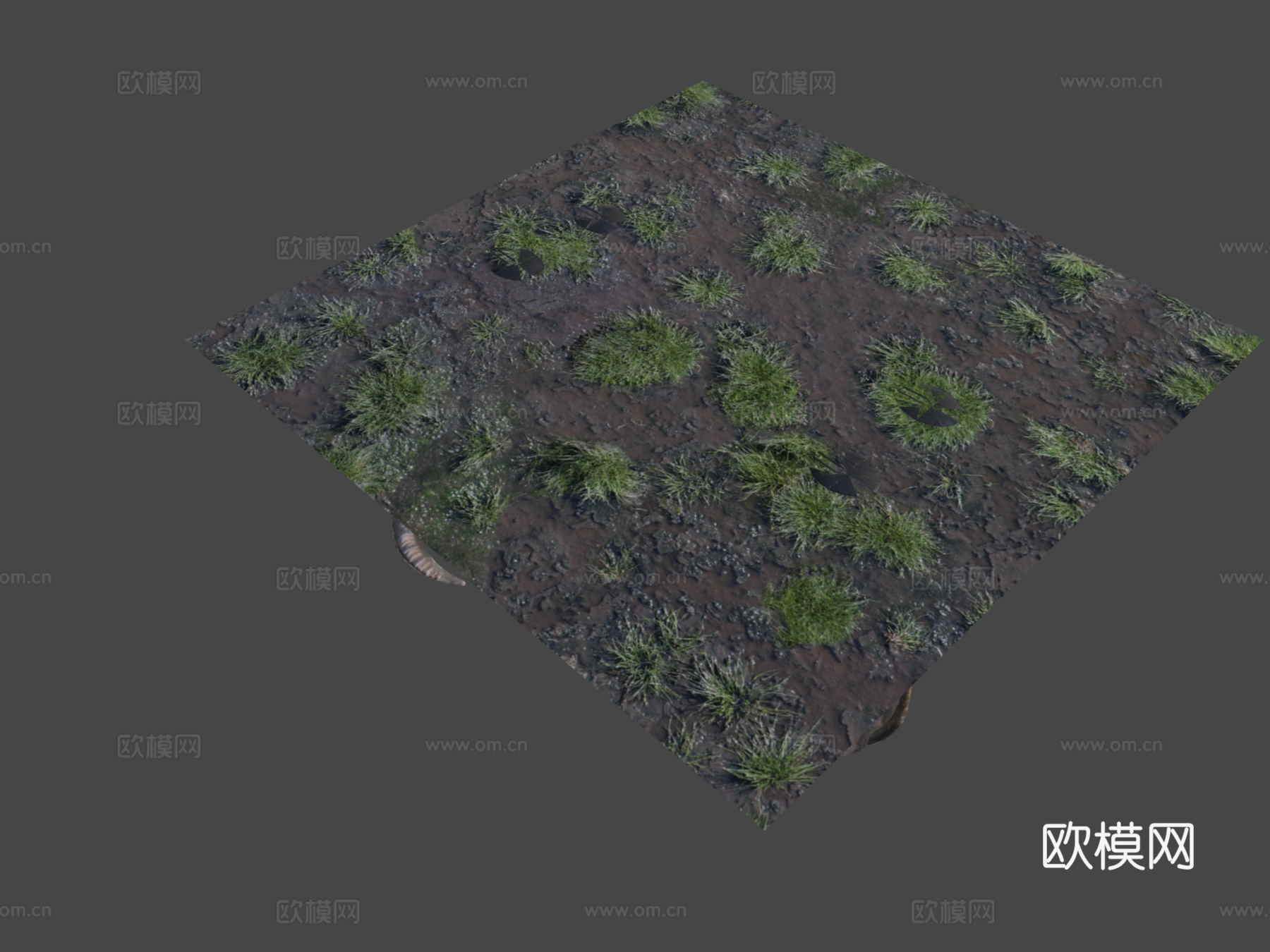 越南雄性水牛3D模型3d模型
