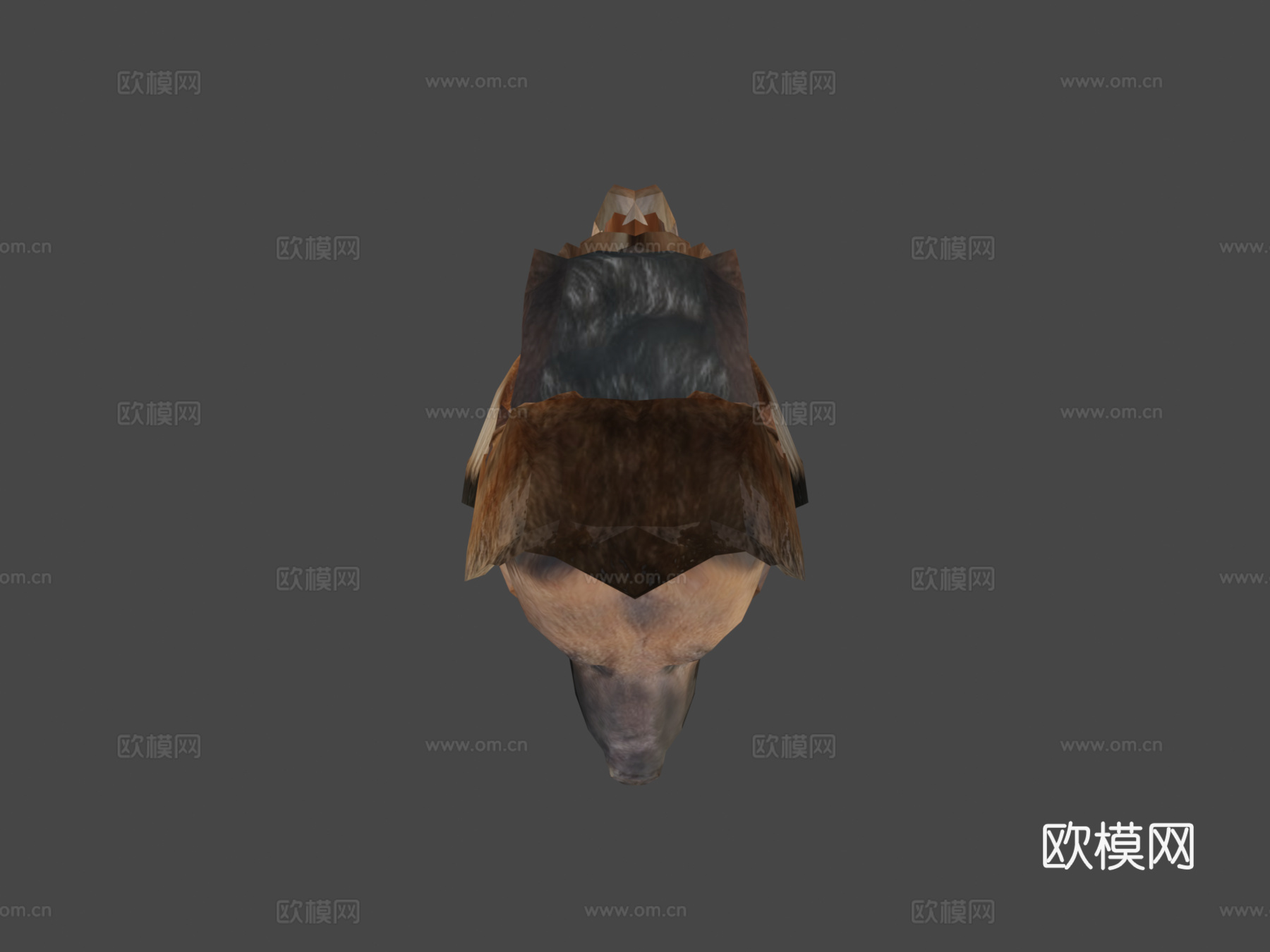 动物界-德国牧羊犬3d模型