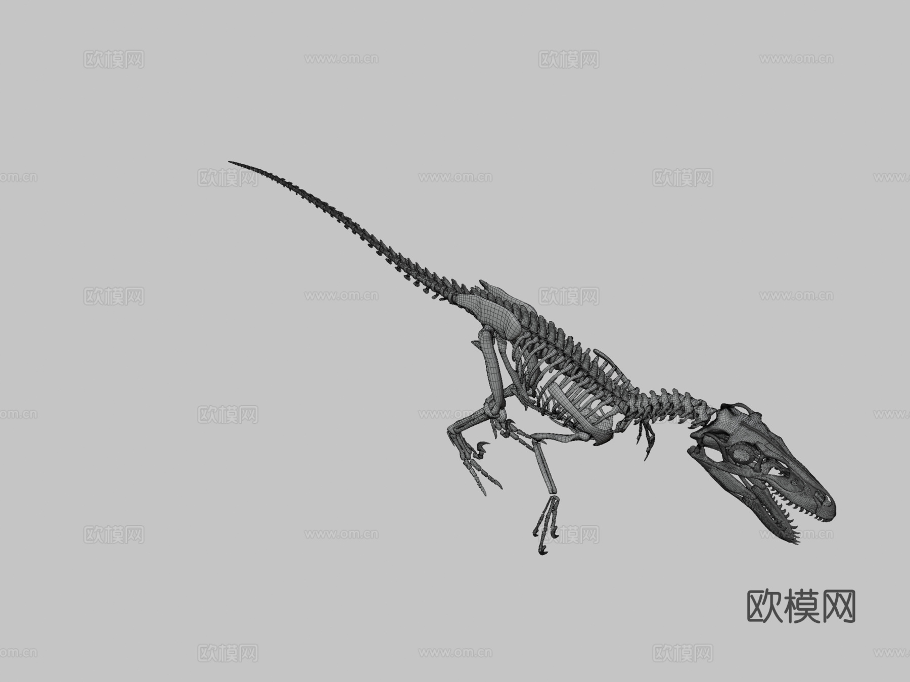 犹他盗龙骨架3d模型