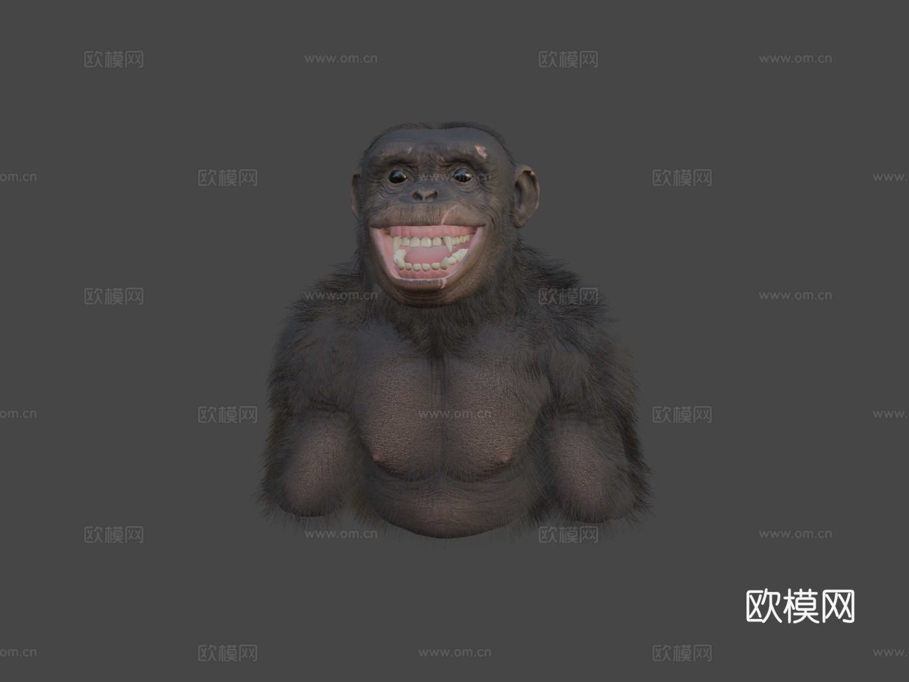 黑猩猩3d模型