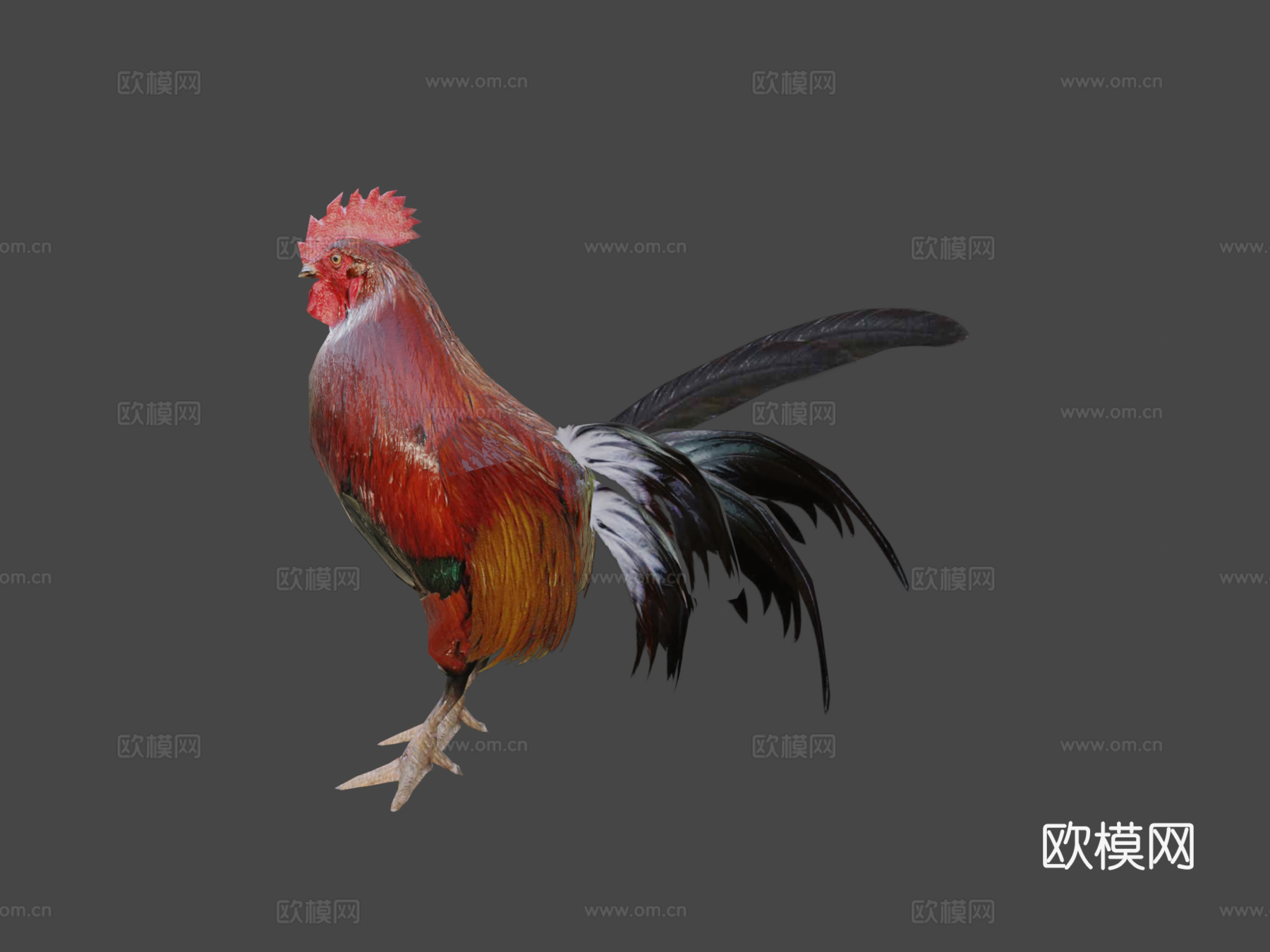低多边形鸡3d模型