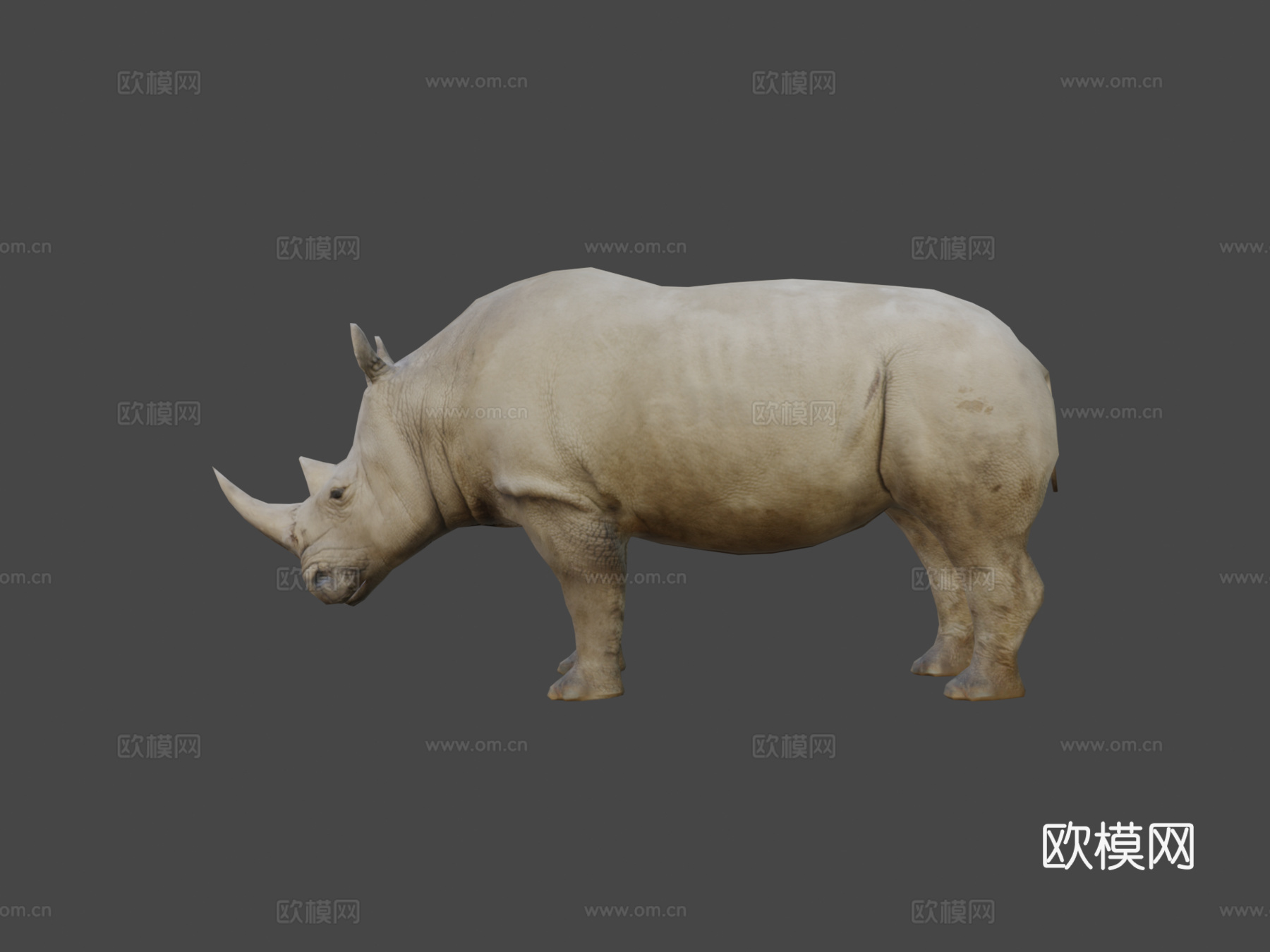 犀牛3d模型